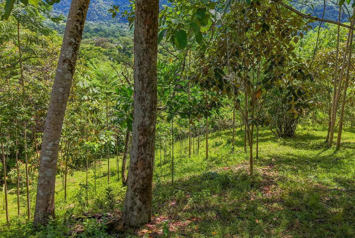 Ocean & Mountain View 4-Acre Building Lot with Legal Water, photo 18 of 24