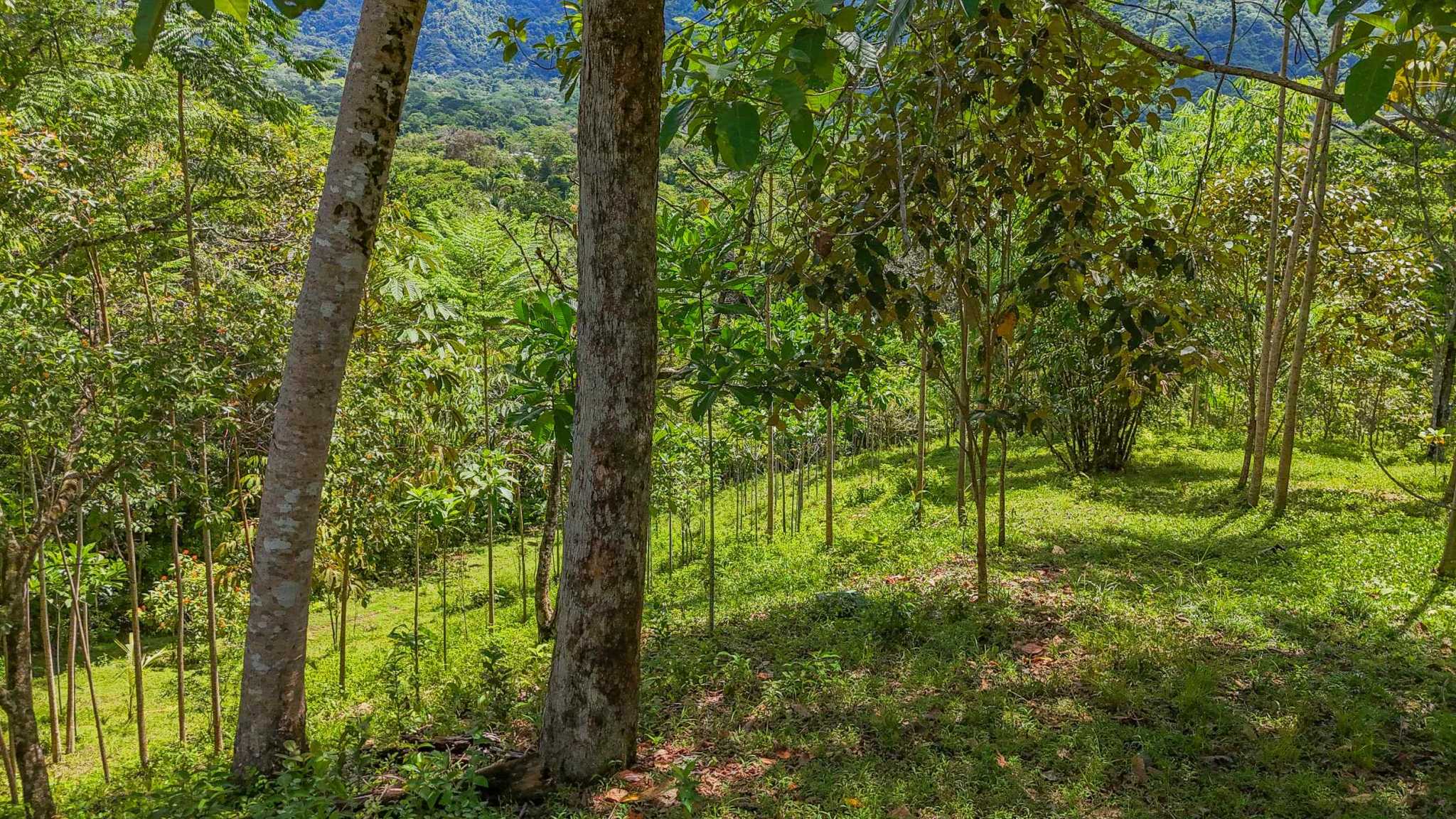 74960-18 Prime Ocean & Mountain View 4-Acre Building Lot with Legal Water in Ojochal Costa Rica