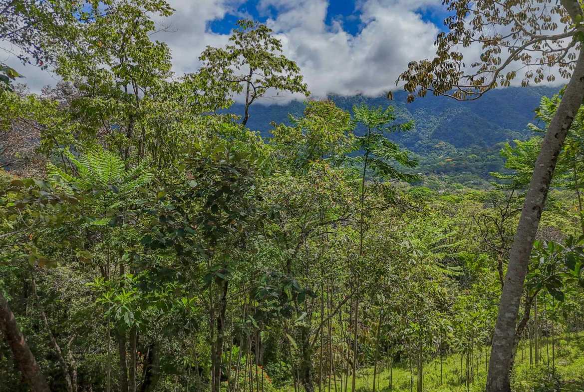 Ocean & Mountain View 4-Acre Building Lot with Legal Water, photo 19 of 24