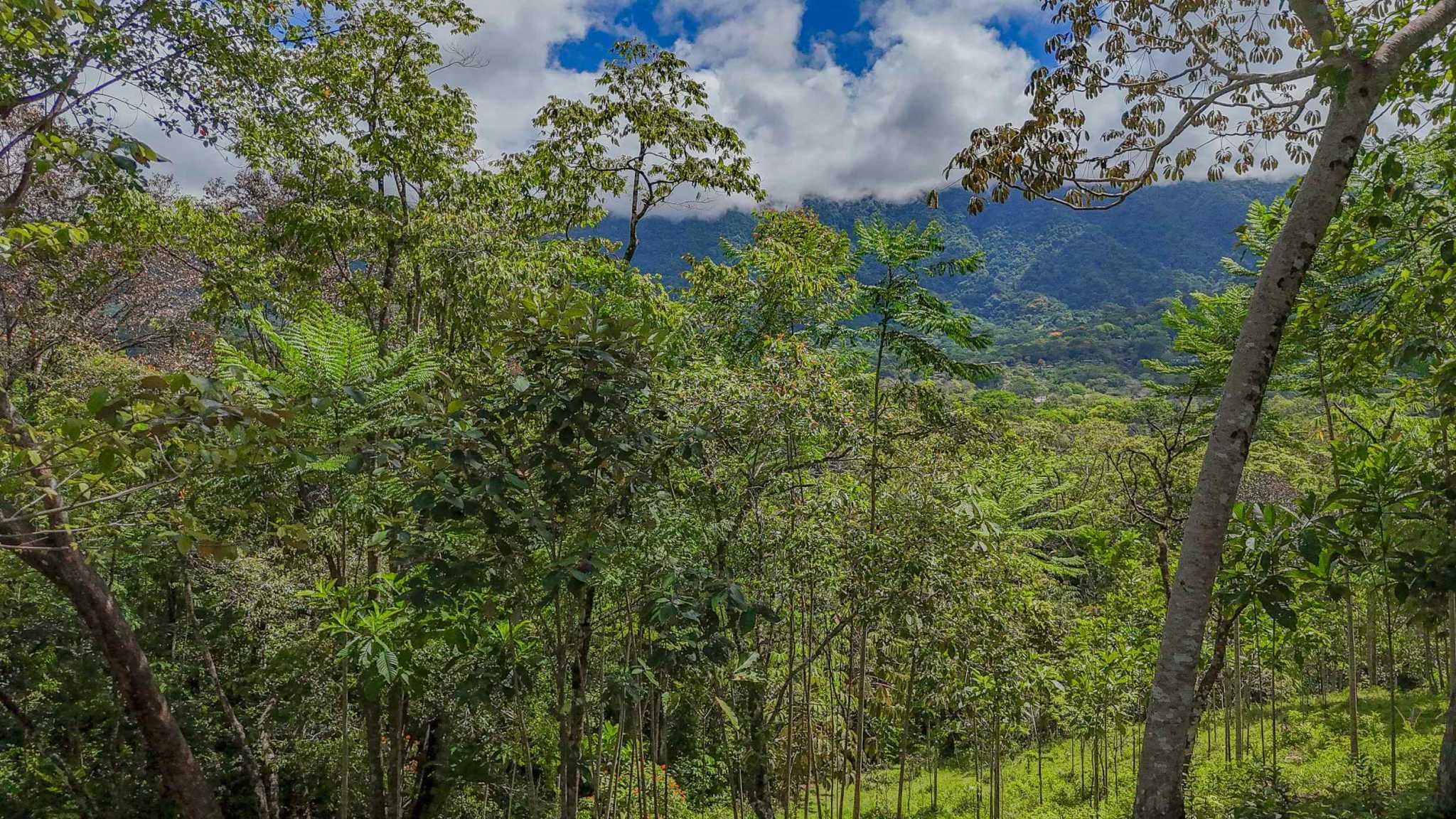 74960-19 Prime Ocean & Mountain View 4-Acre Building Lot with Legal Water in Ojochal Costa Rica