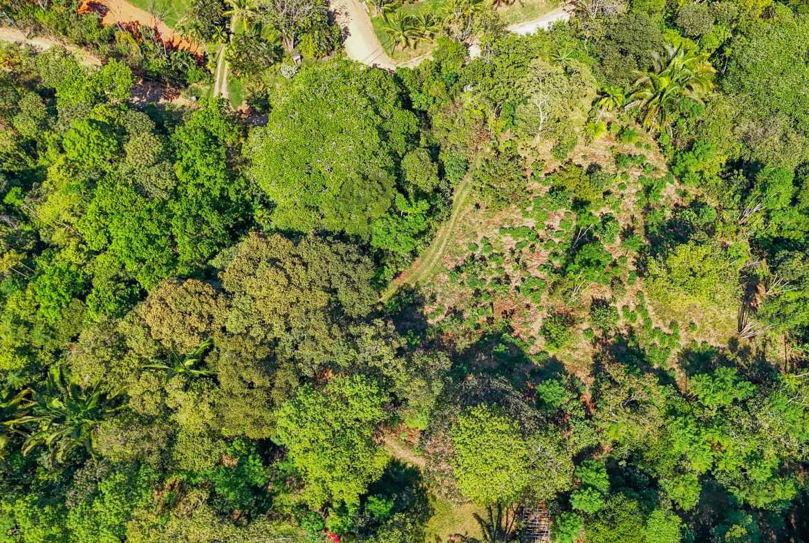 Ocean & Mountain View 4-Acre Building Lot with Legal Water, photo 20 of 24