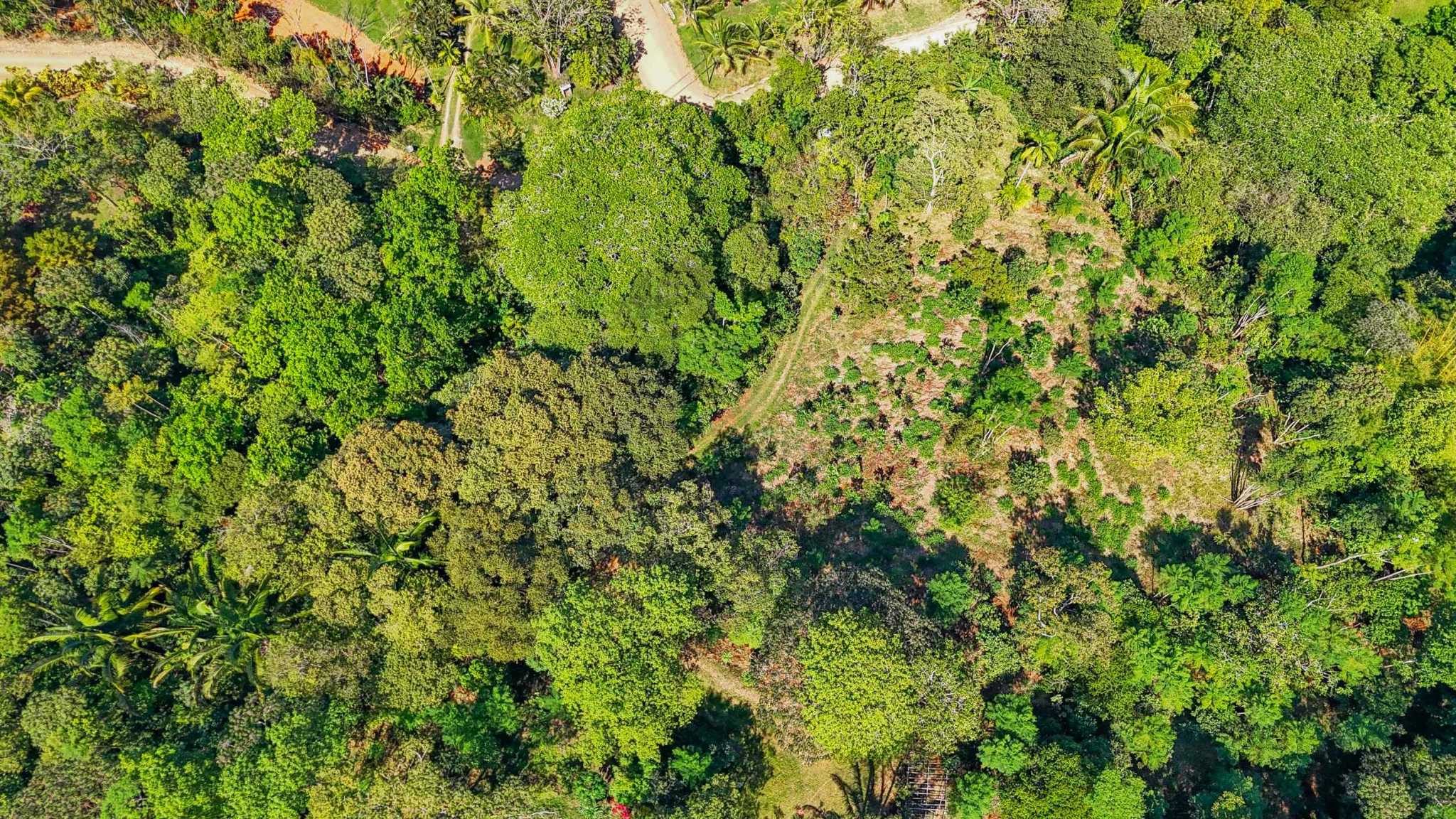 74960-20 Prime Ocean & Mountain View 4-Acre Building Lot with Legal Water in Ojochal Costa Rica