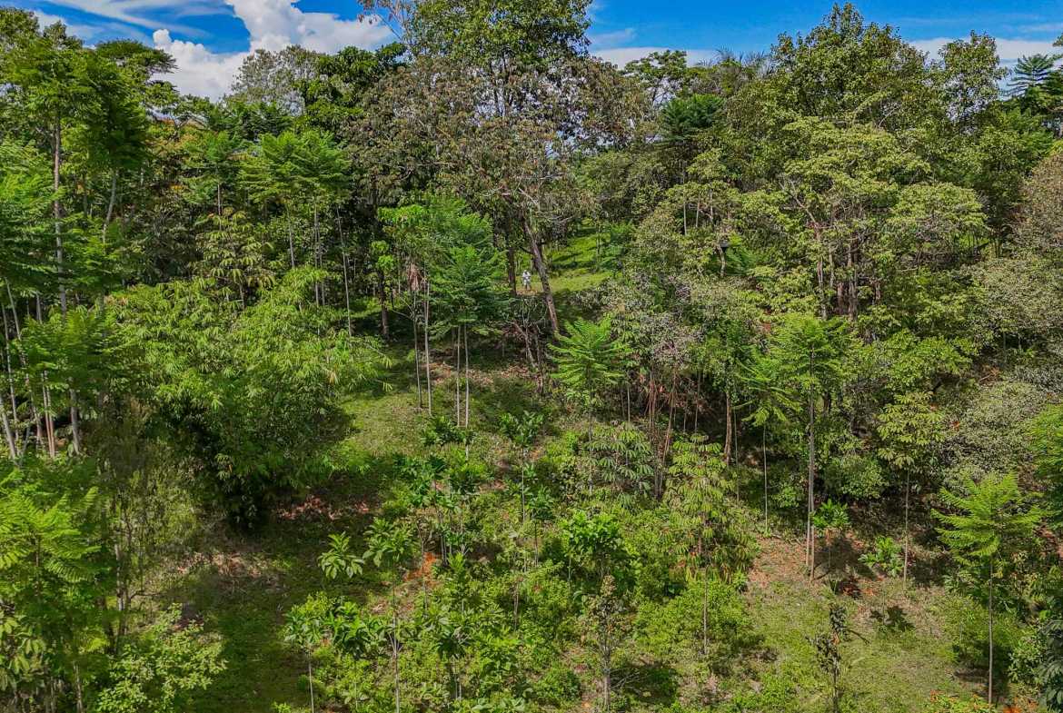 Ocean & Mountain View 4-Acre Building Lot with Legal Water, photo 21 of 24