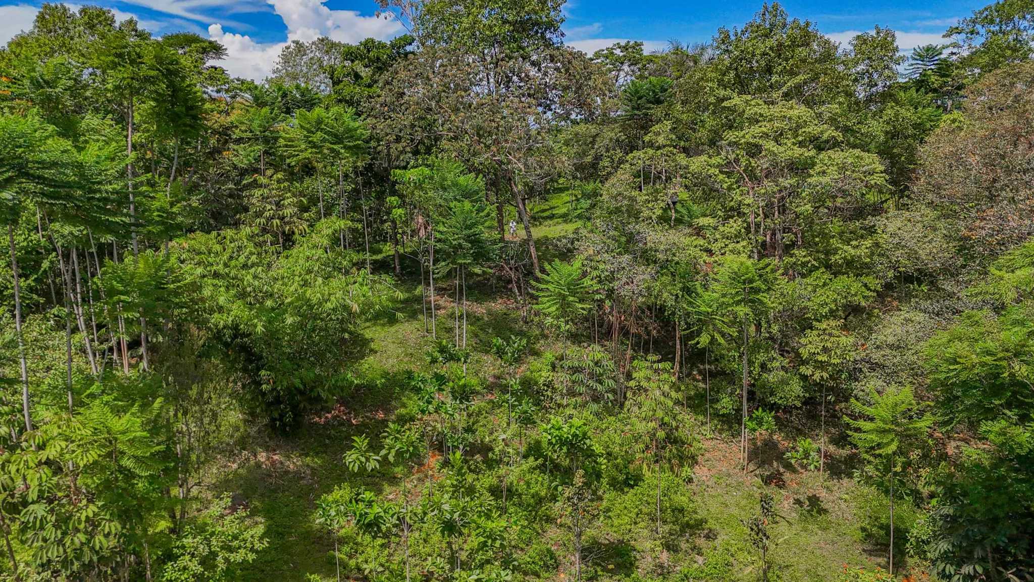 74960-21 Prime Ocean & Mountain View 4-Acre Building Lot with Legal Water in Ojochal Costa Rica