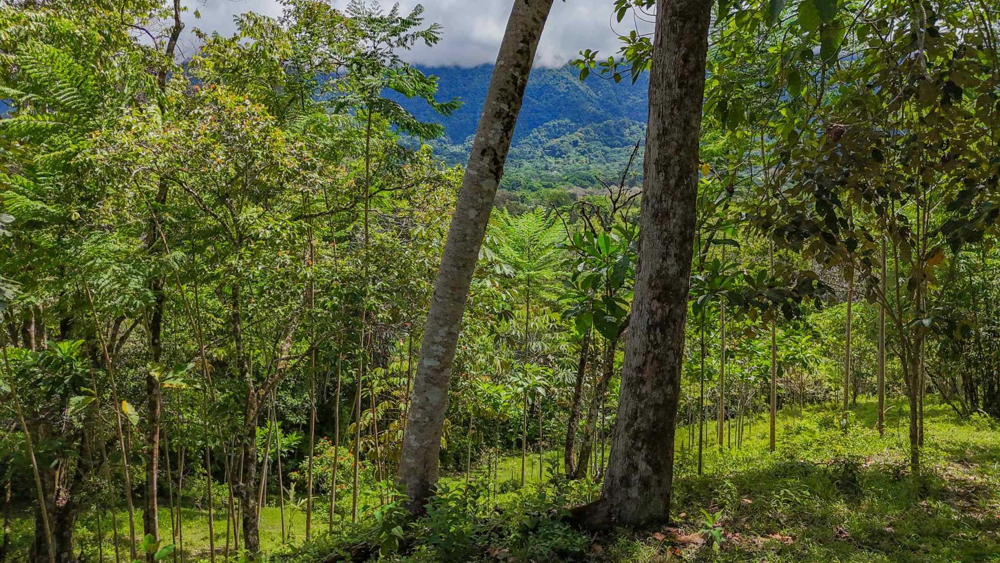 74960-22 Prime Ocean & Mountain View 4-Acre Building Lot with Legal Water in Ojochal Costa Rica