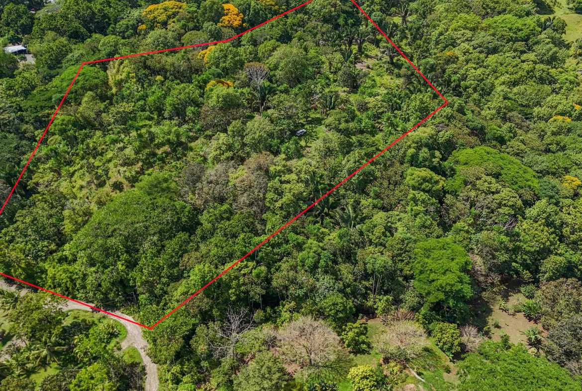 Ocean & Mountain View 4-Acre Building Lot with Legal Water, photo 23 of 24