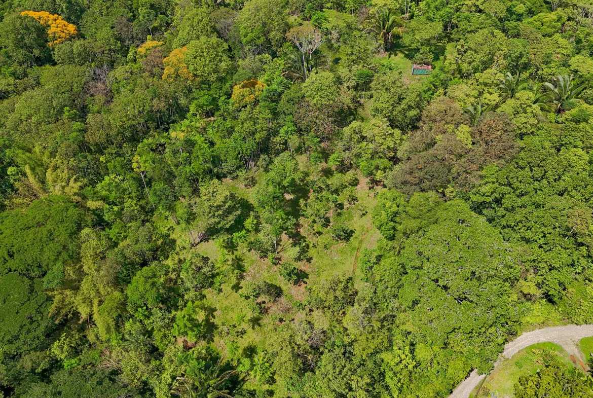 Ocean & Mountain View 4-Acre Building Lot with Legal Water, photo 24 of 24