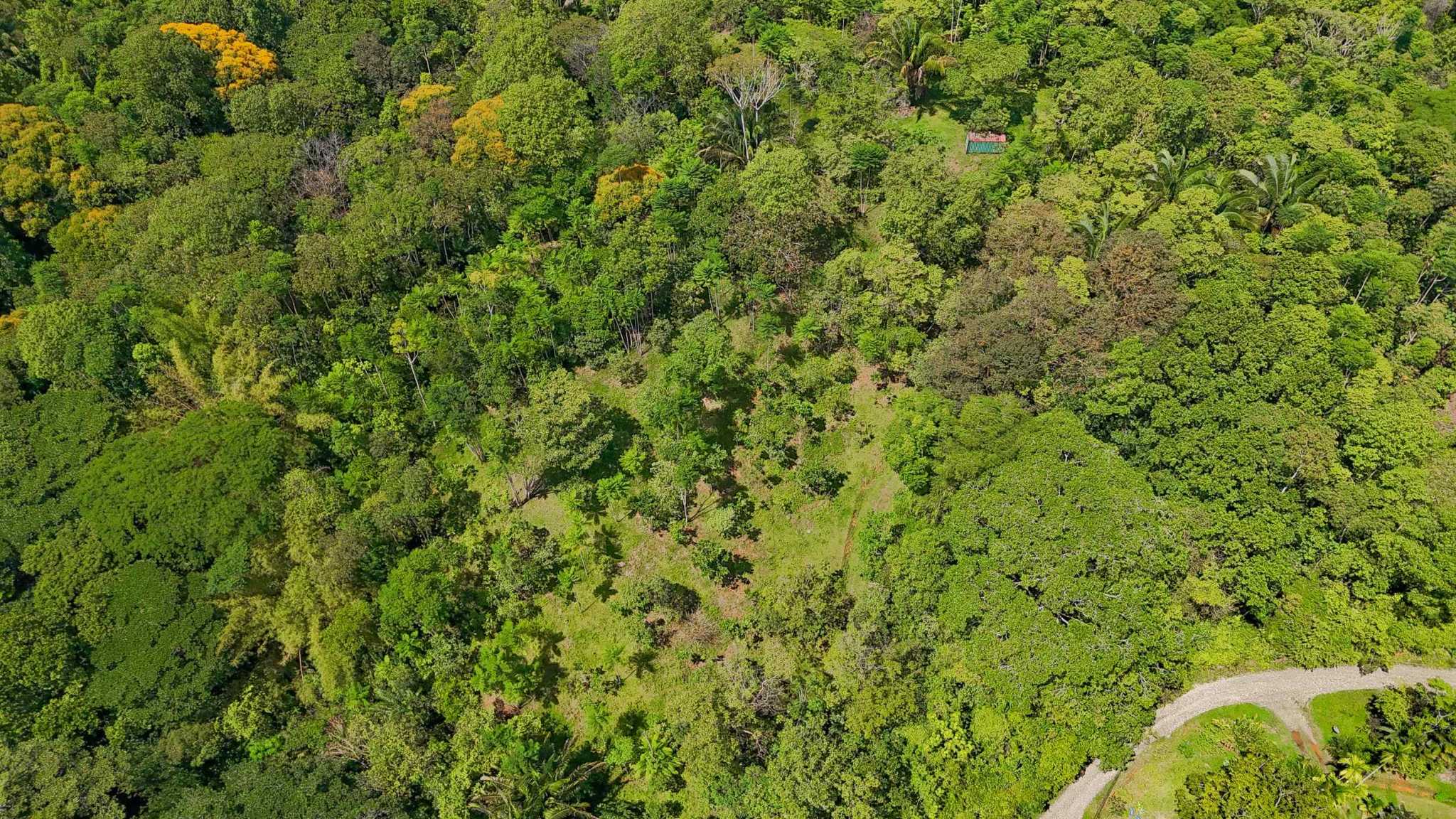 74960-24 Prime Ocean & Mountain View 4-Acre Building Lot with Legal Water in Ojochal Costa Rica