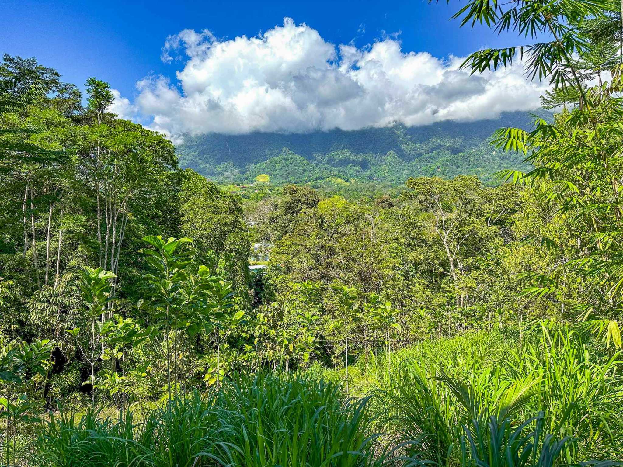74960-26 Prime Ocean & Mountain View 4-Acre Building Lot with Legal Water in Ojochal Costa Rica