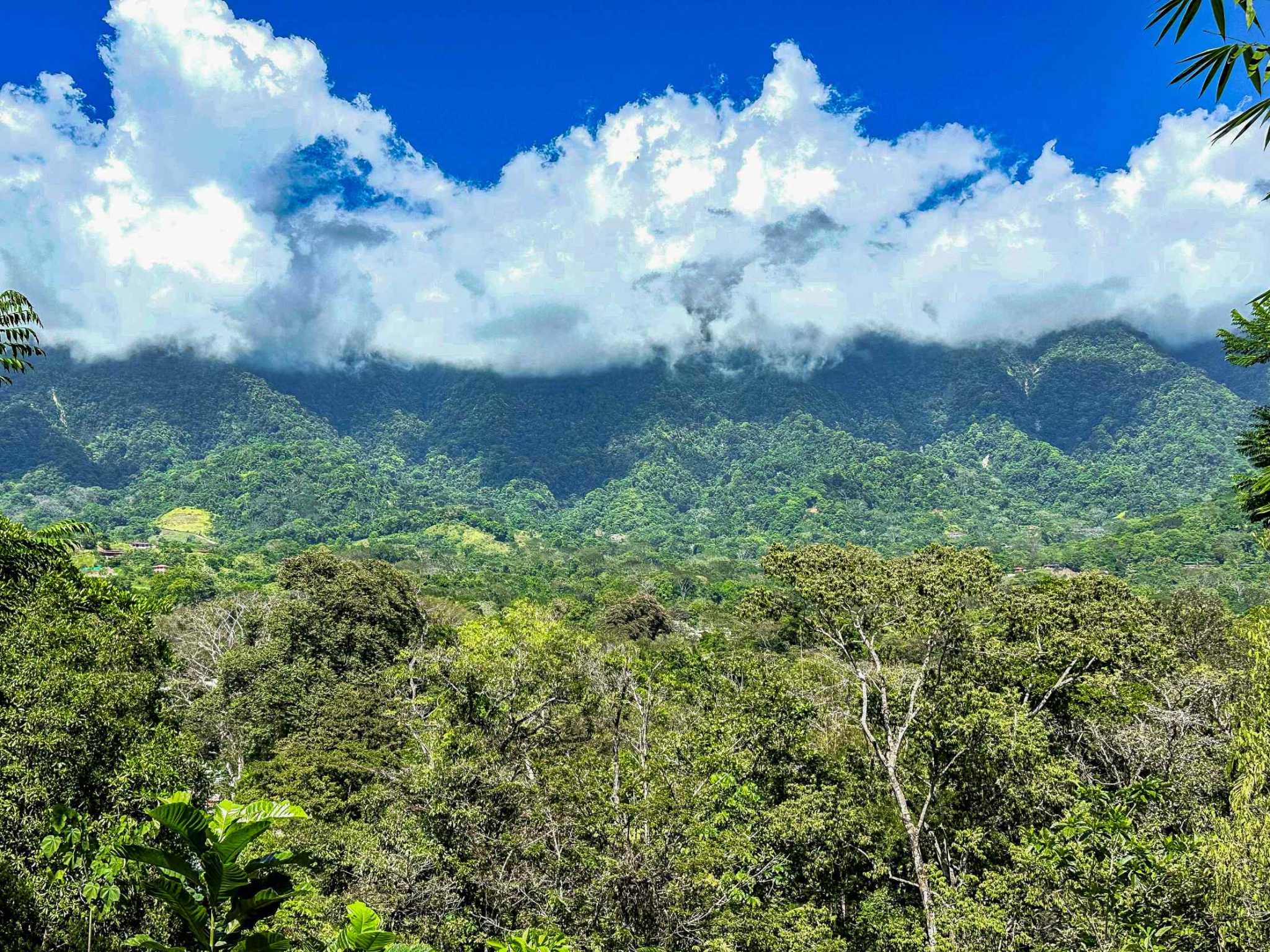74960-28 Prime Ocean & Mountain View 4-Acre Building Lot with Legal Water in Ojochal Costa Rica
