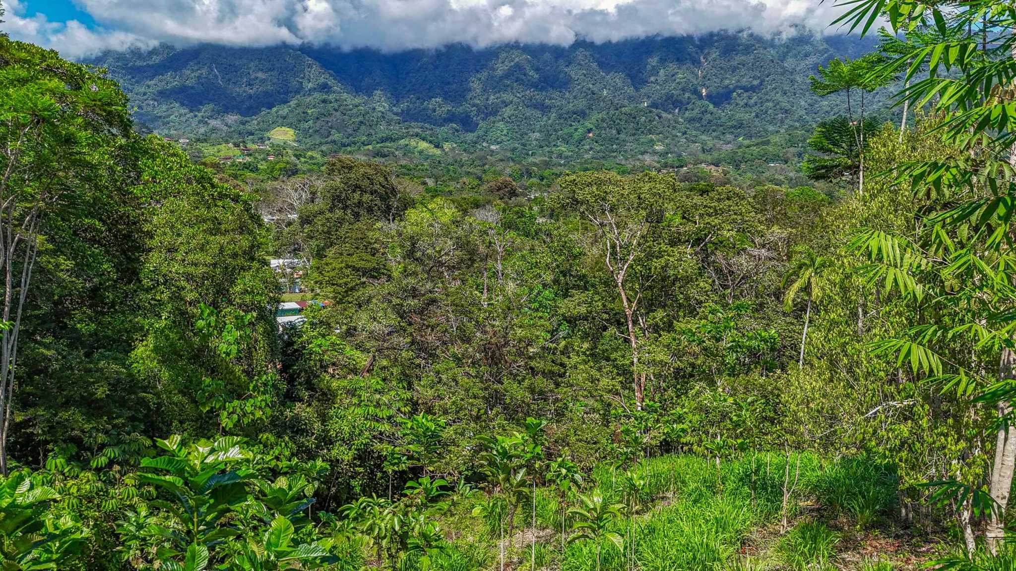 74960-30 Prime Ocean & Mountain View 4-Acre Building Lot with Legal Water in Ojochal Costa Rica