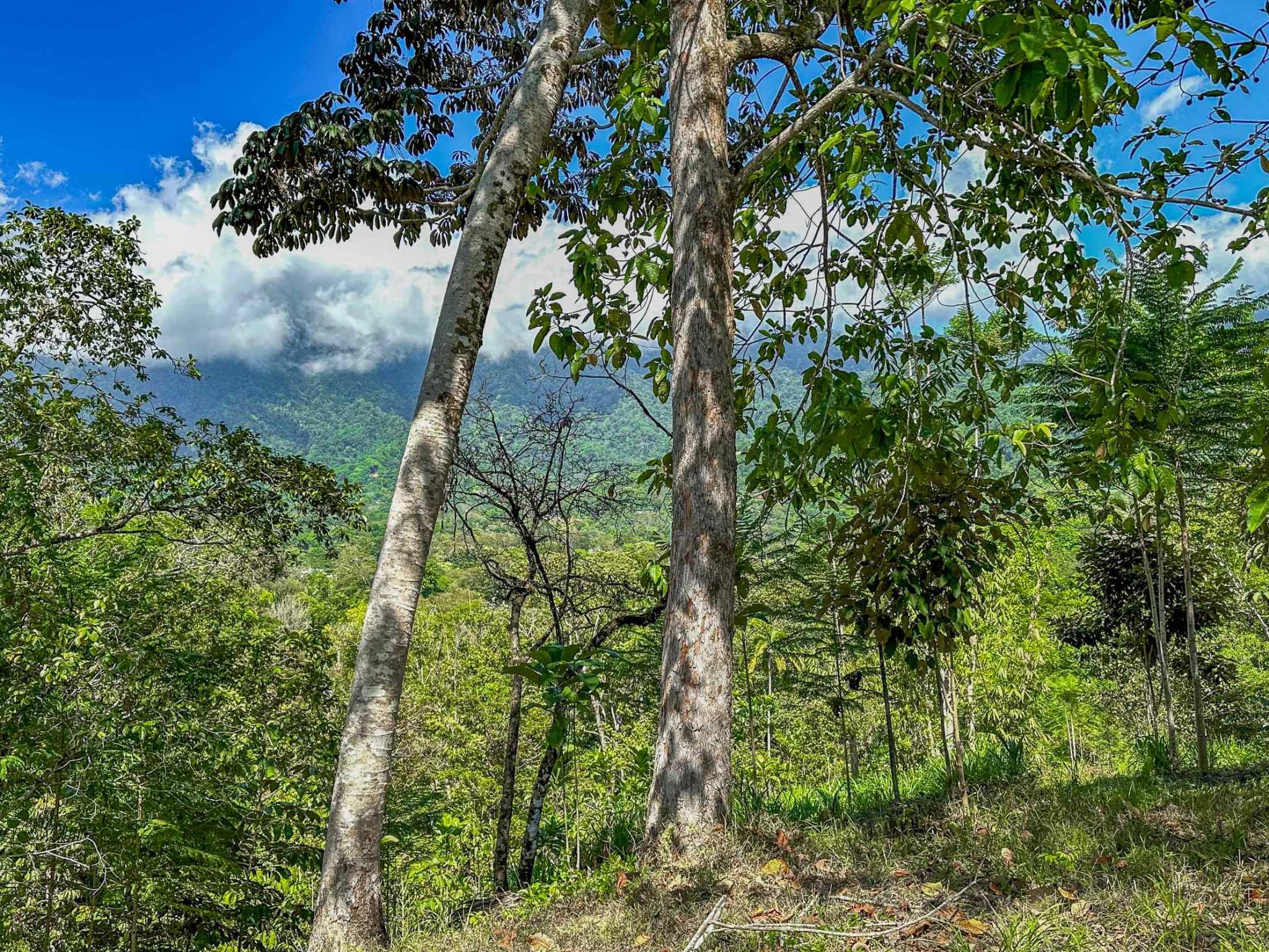 74960-31 Prime Ocean & Mountain View 4-Acre Building Lot with Legal Water in Ojochal Costa Rica