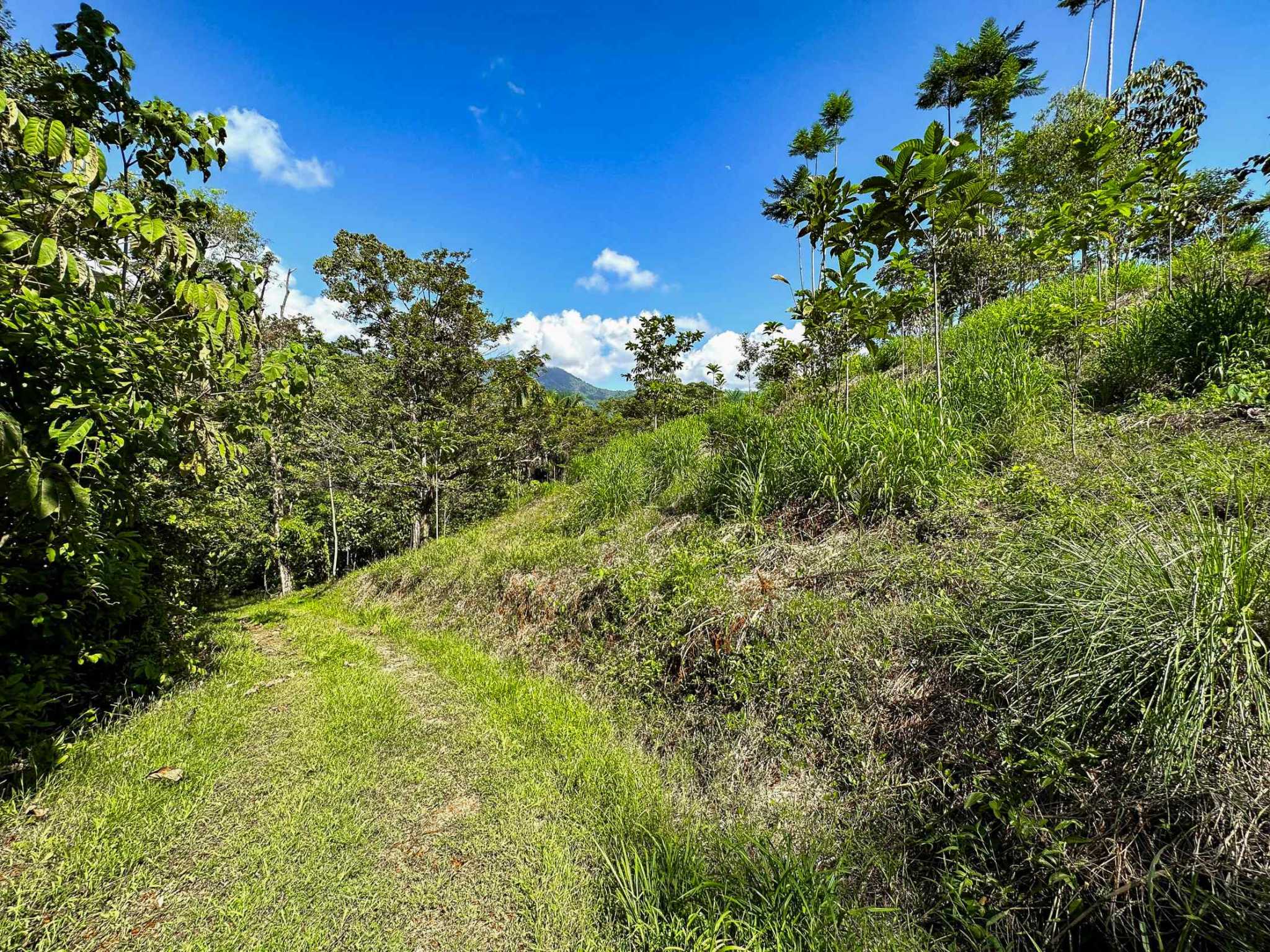 74960-32 Prime Ocean & Mountain View 4-Acre Building Lot with Legal Water in Ojochal Costa Rica