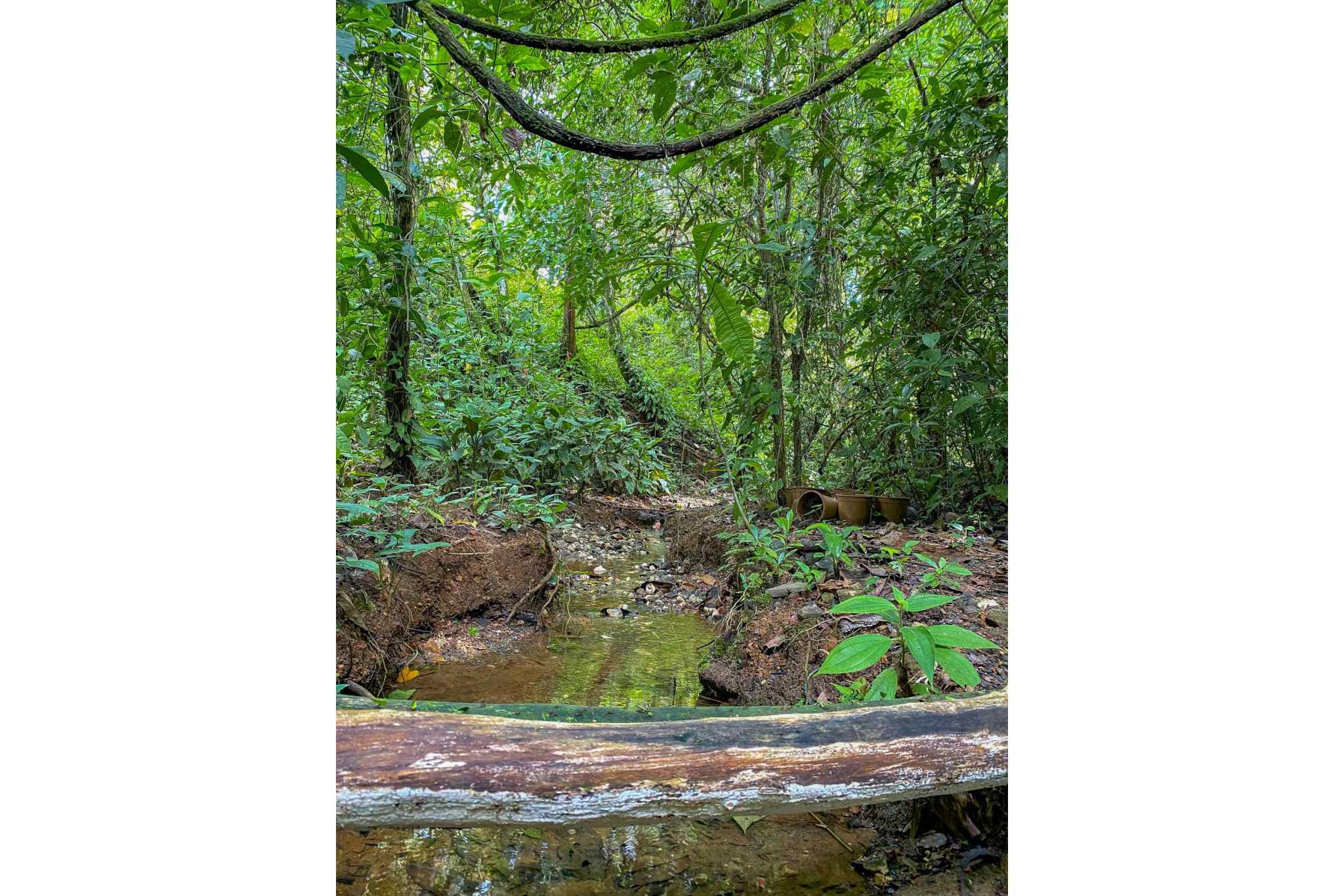 74960-33 Prime Ocean & Mountain View 4-Acre Building Lot with Legal Water in Ojochal Costa Rica