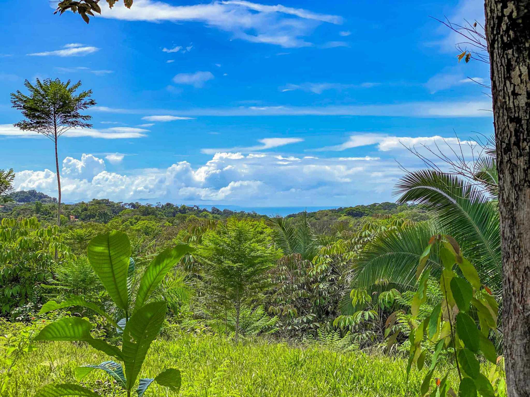 74960-36 Prime Ocean & Mountain View 4-Acre Building Lot with Legal Water in Ojochal Costa Rica