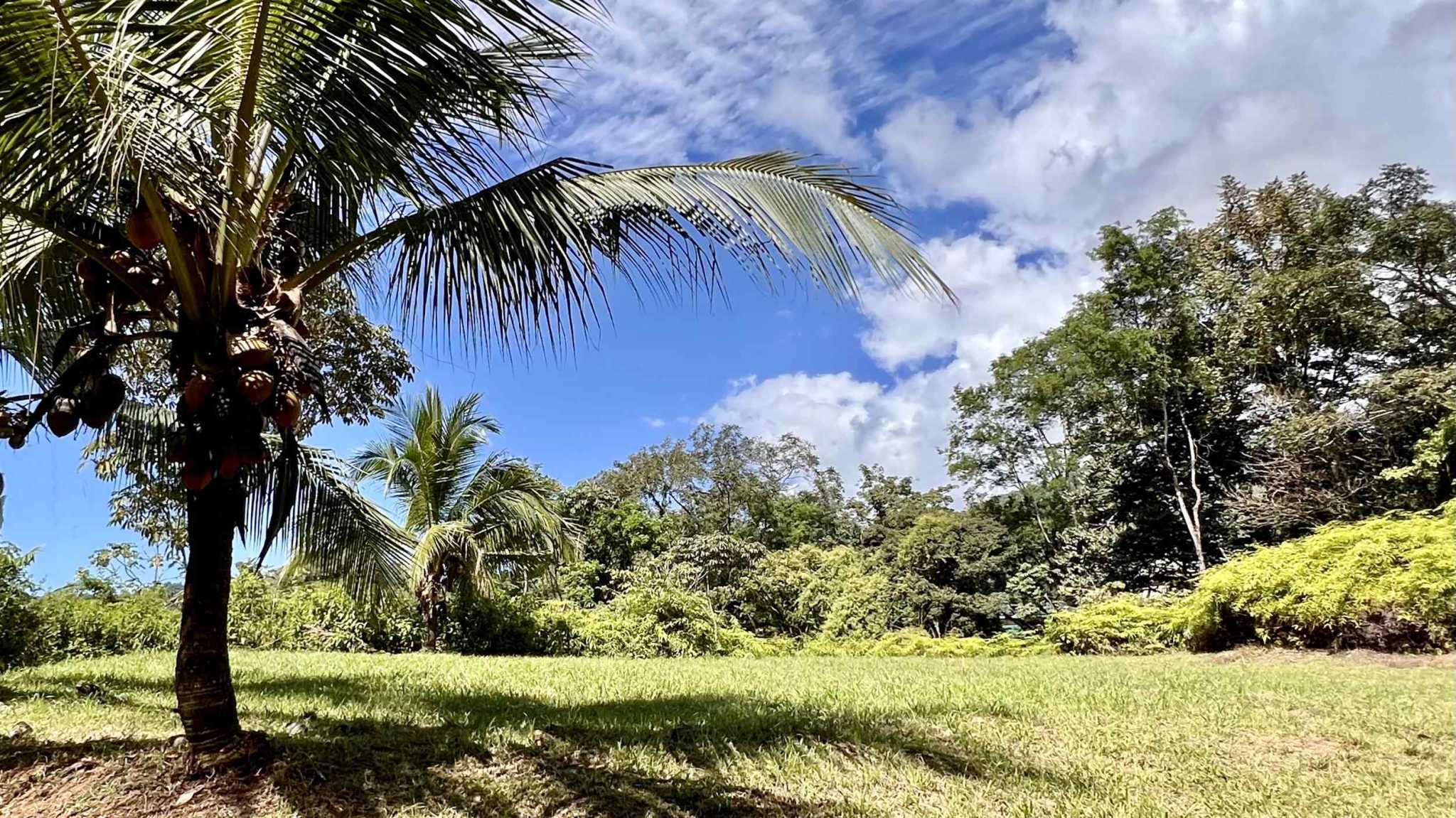 Exceptional Mountain View 4-Acre Building Lot with Legal Water in Ojochal Costa Rica