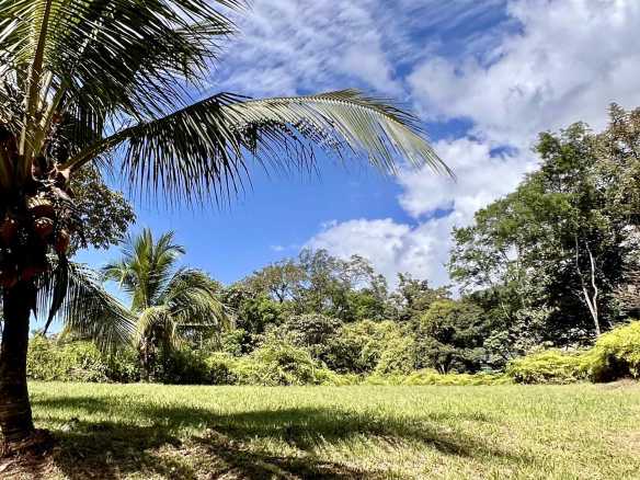 Exceptional Mountain View 4-Acre Building Lot with Legal Water in Ojochal Costa Rica