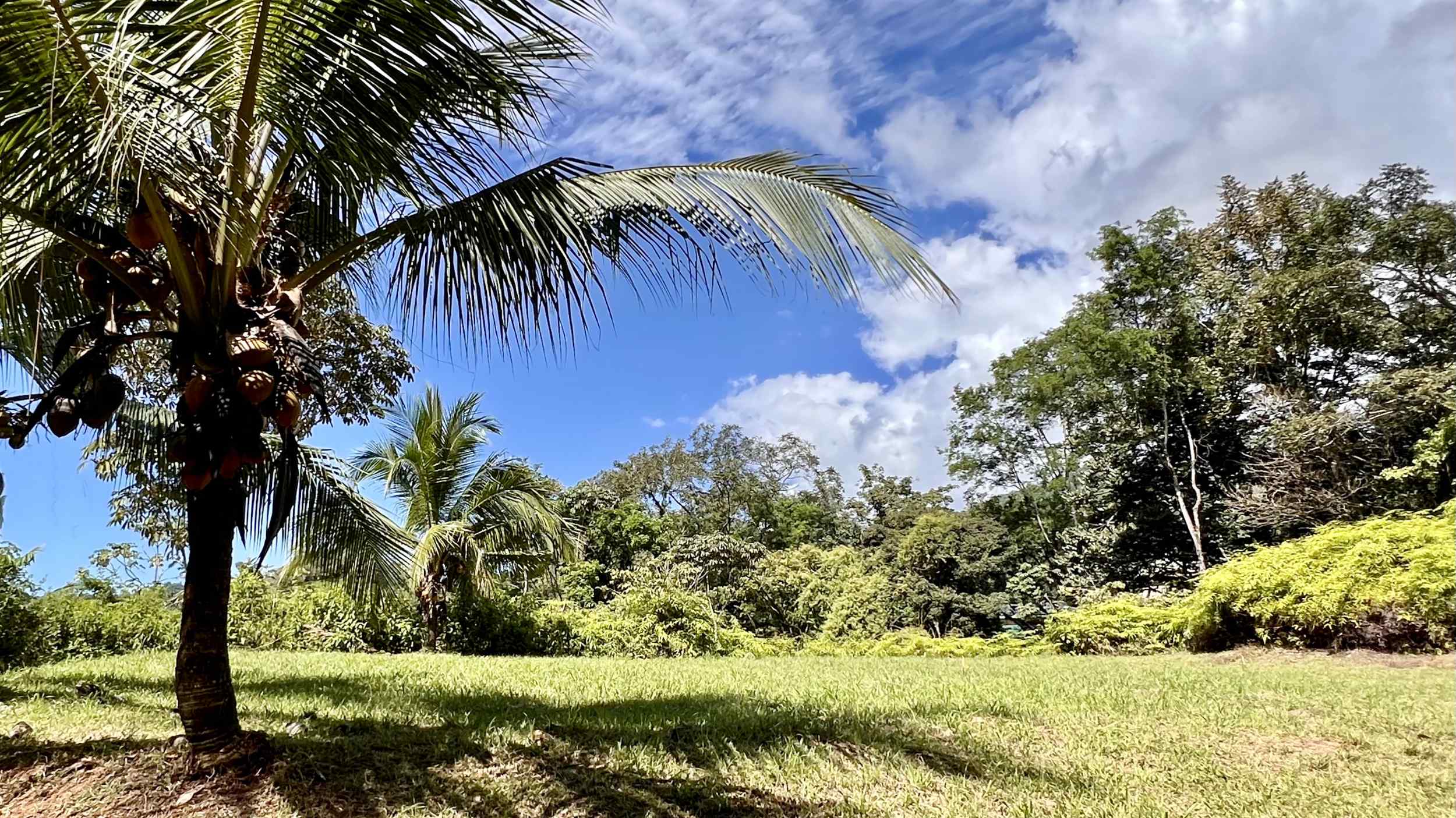 Exceptional Mountain View 4-Acre Building Lot with Legal Water in Ojochal Costa Rica