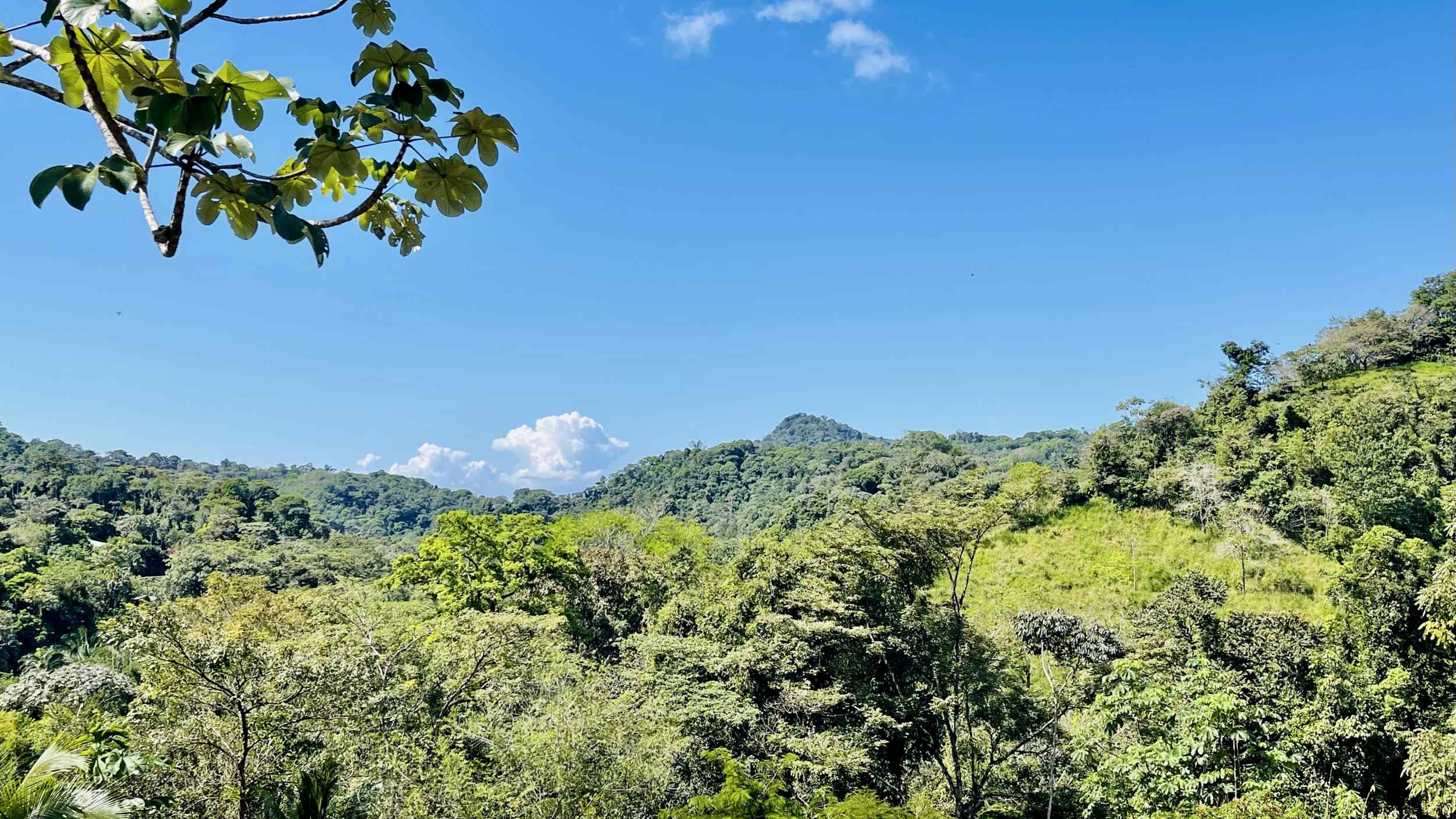 Exceptional Mountain View 4-Acre Building Lot with Legal Water in Ojochal Costa Rica