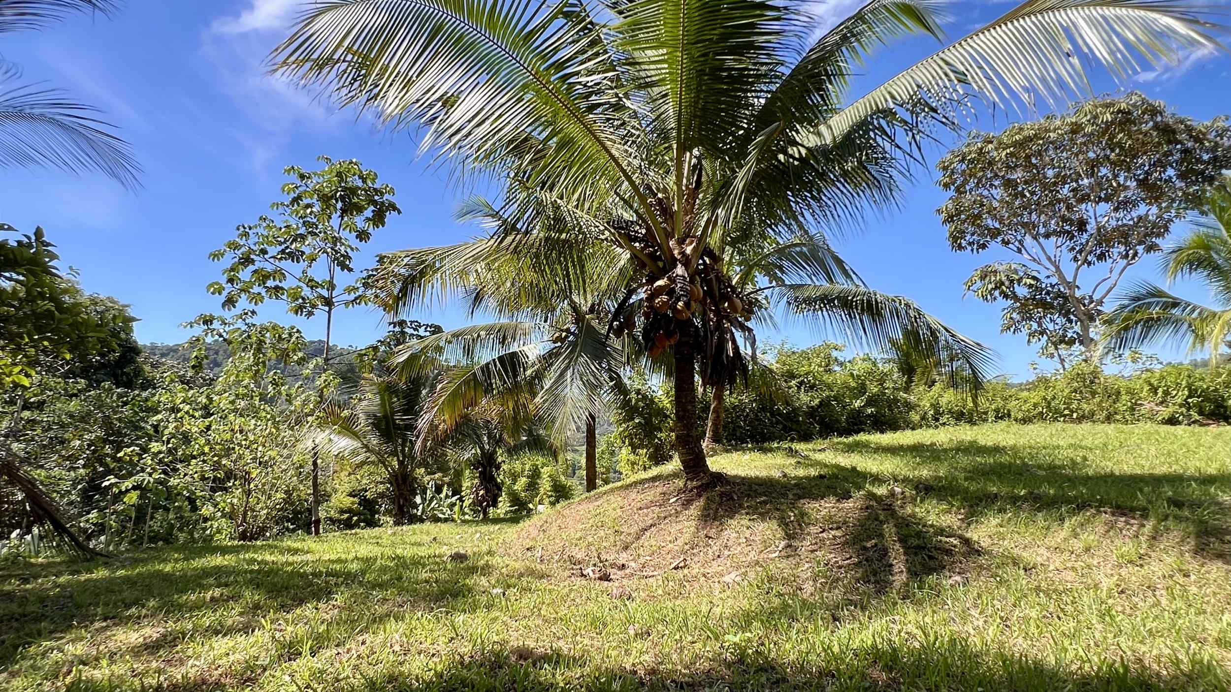 Exceptional Mountain View 4-Acre Building Lot with Legal Water in Ojochal Costa Rica