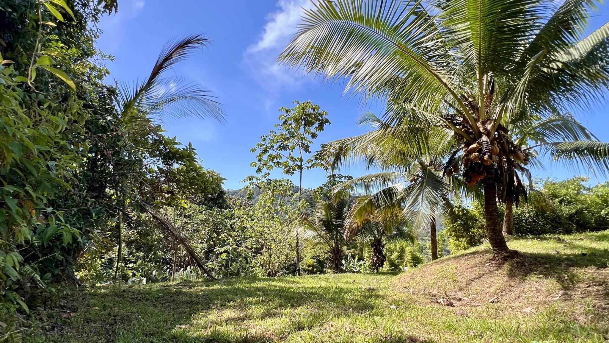 Exceptional Mountain View 4-Acre Building Lot with Legal Water in Ojochal Costa Rica
