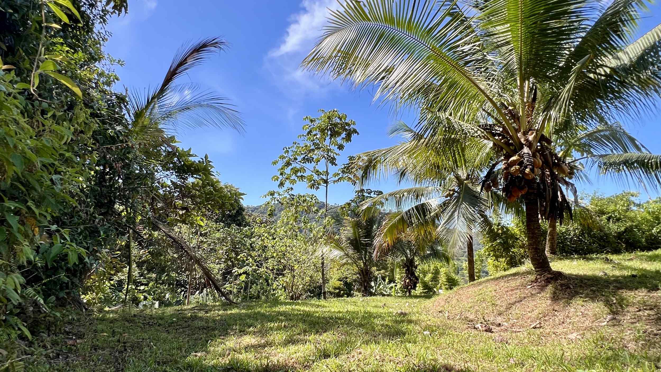 Exceptional Mountain View 4-Acre Building Lot with Legal Water in Ojochal Costa Rica