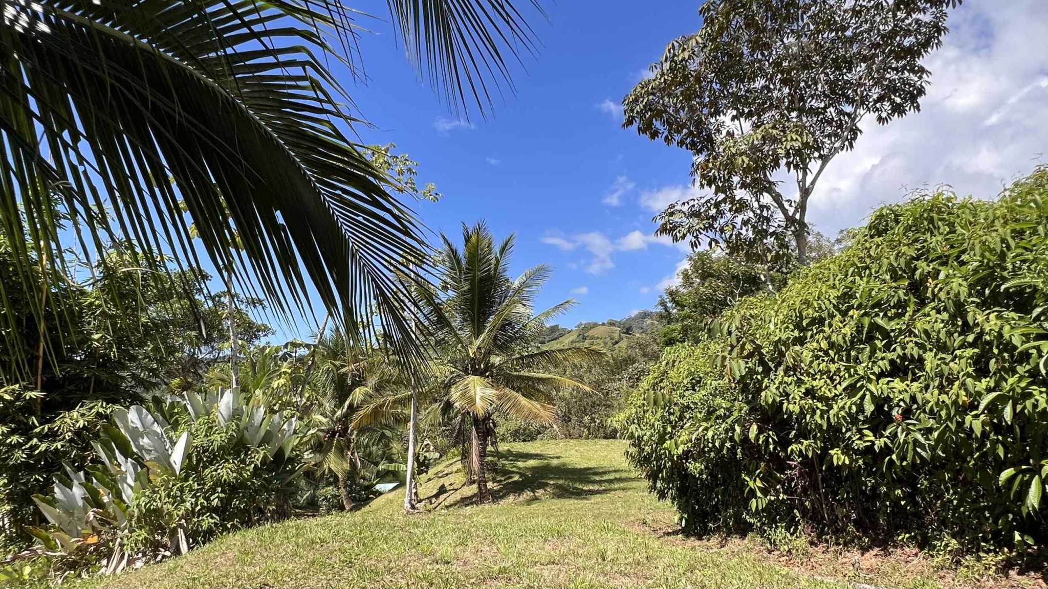 Exceptional Mountain View 4-Acre Building Lot with Legal Water in Ojochal Costa Rica