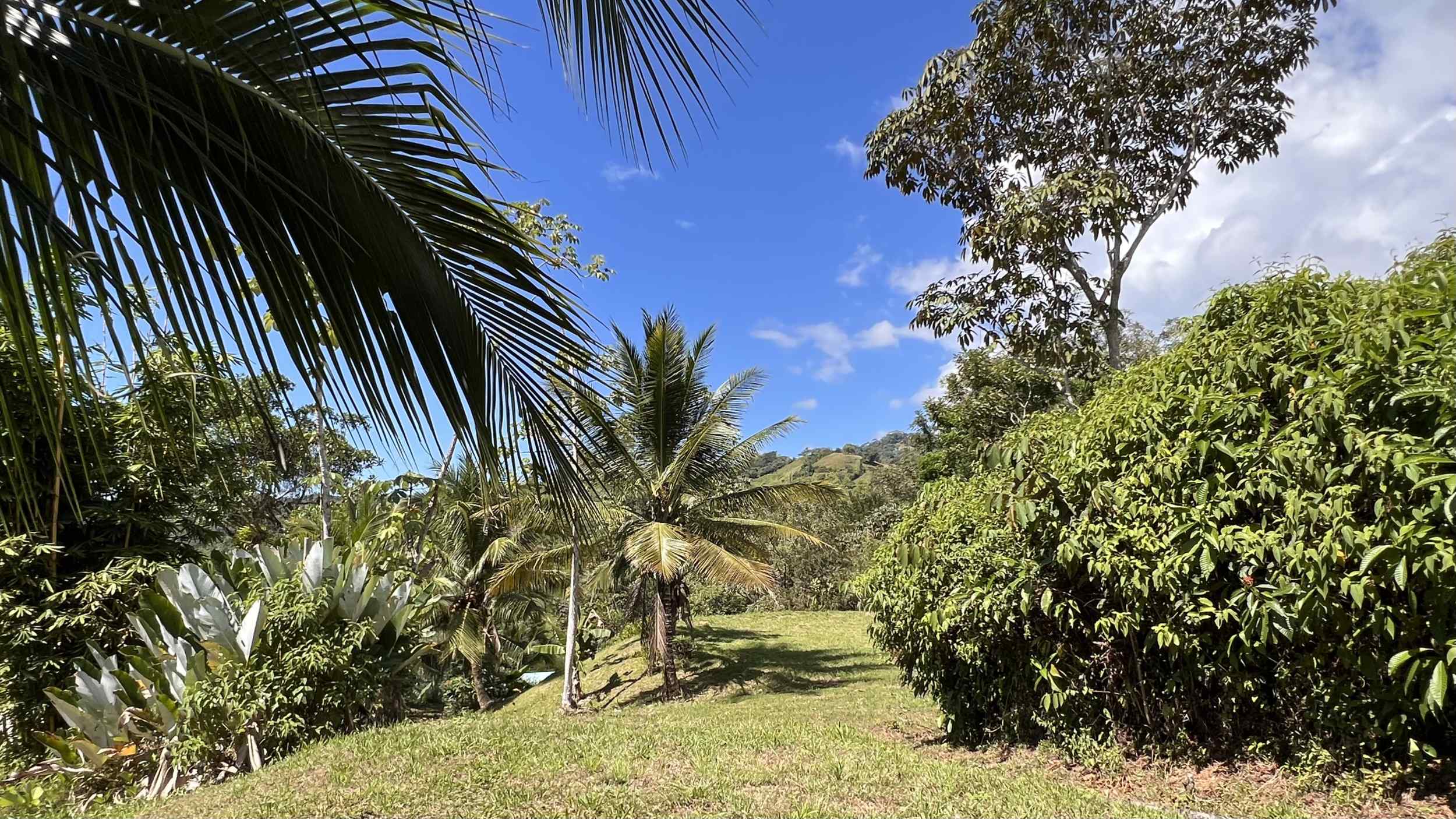 Exceptional Mountain View 4-Acre Building Lot with Legal Water in Ojochal Costa Rica