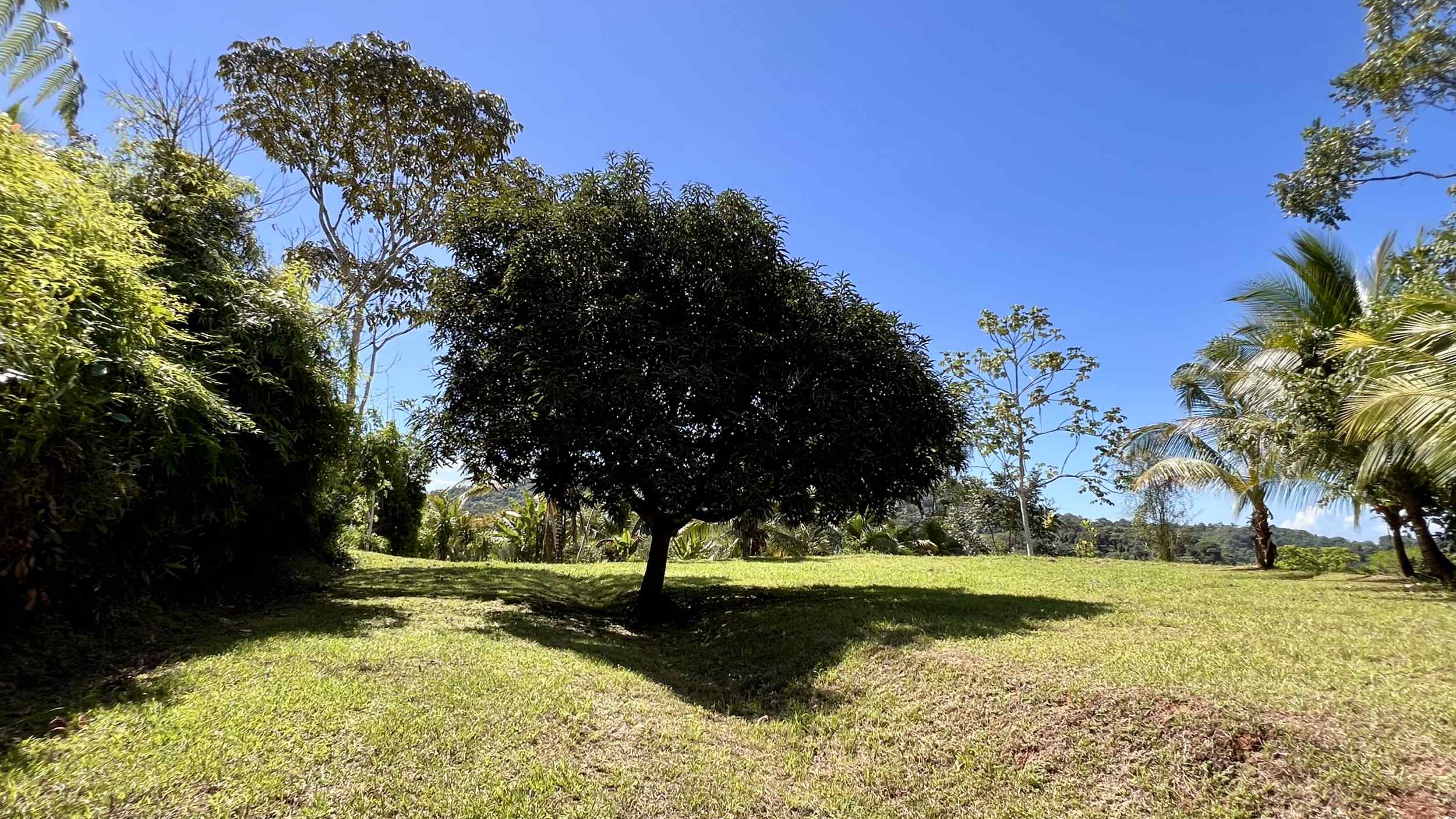 Exceptional Mountain View 4-Acre Building Lot with Legal Water in Ojochal Costa Rica
