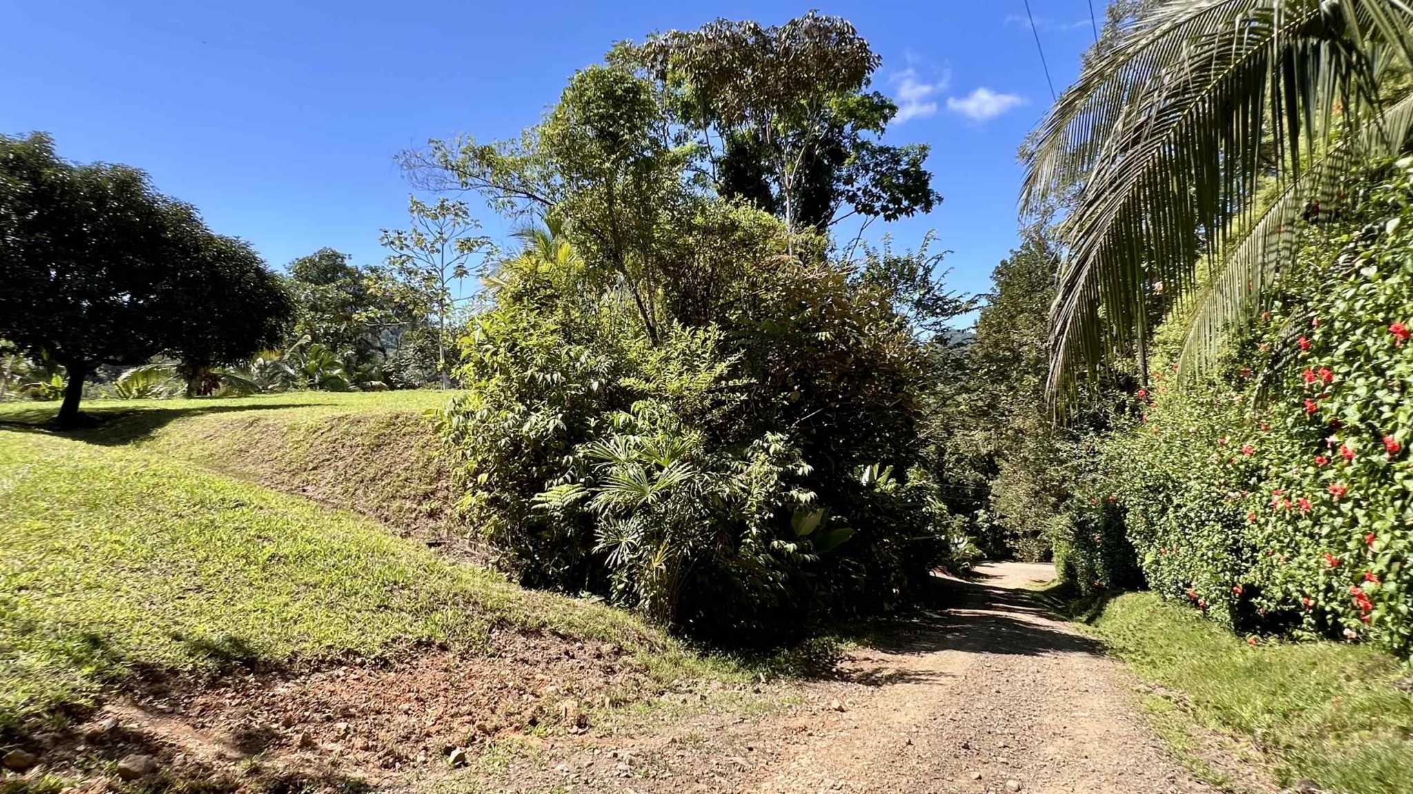 Exceptional Mountain View 4-Acre Building Lot with Legal Water in Ojochal Costa Rica