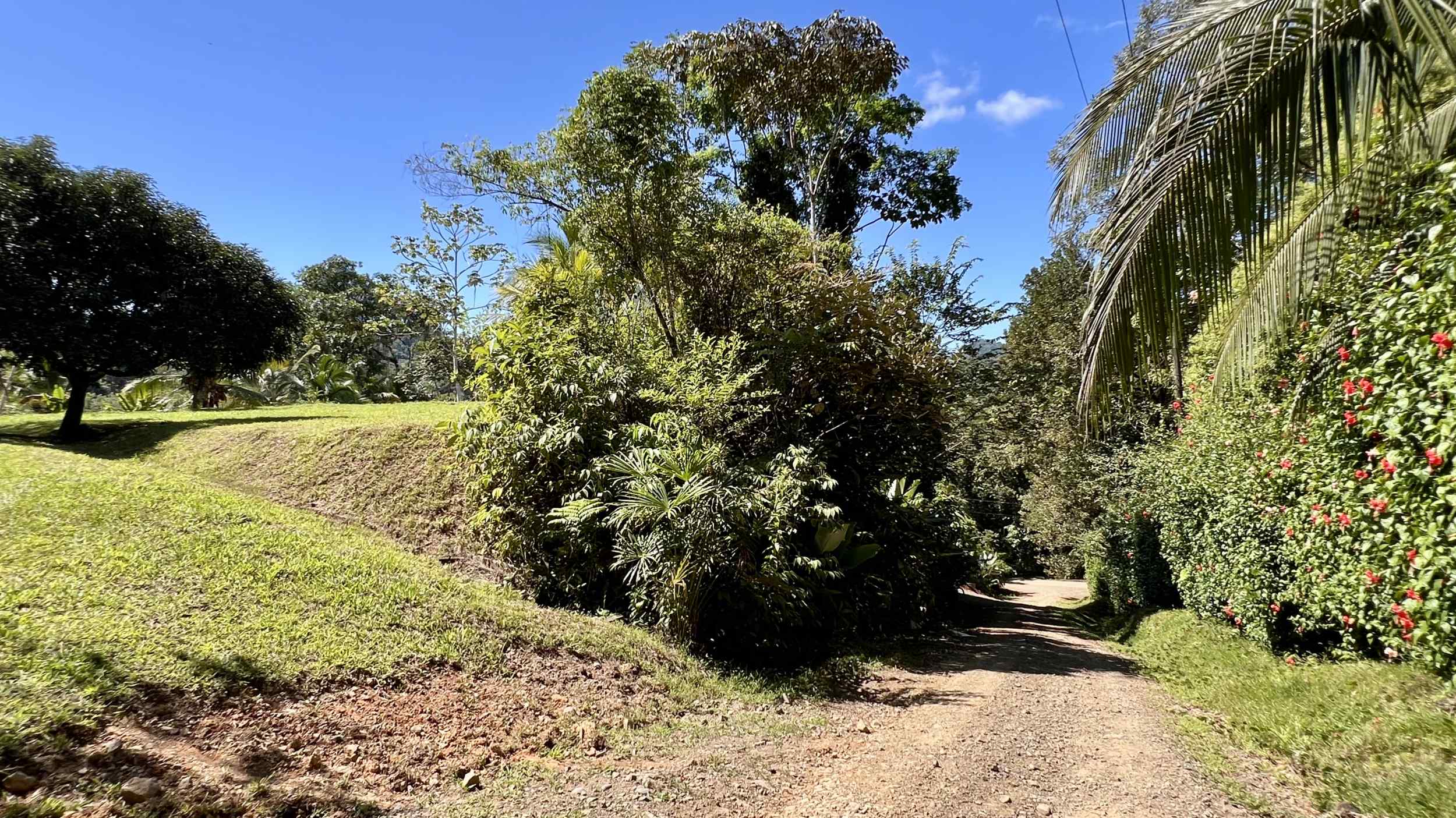 Exceptional Mountain View 4-Acre Building Lot with Legal Water in Ojochal Costa Rica