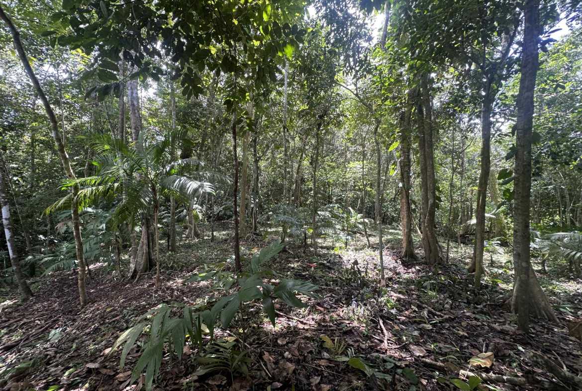 Strategic River View 17+ Acre Building Lot in Palmar Costa Rica