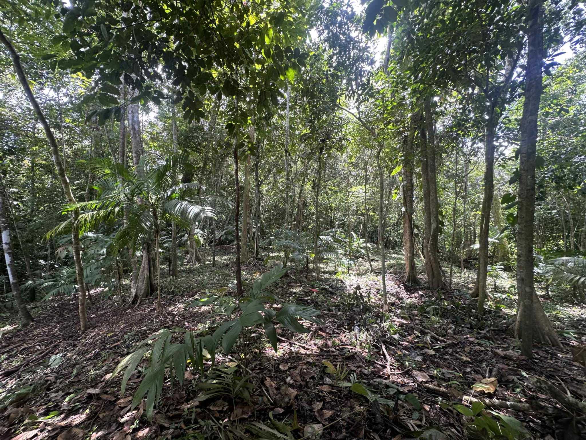 74946-1 Strategic River View 17+ Acre Building Lot in Palmar Costa Rica