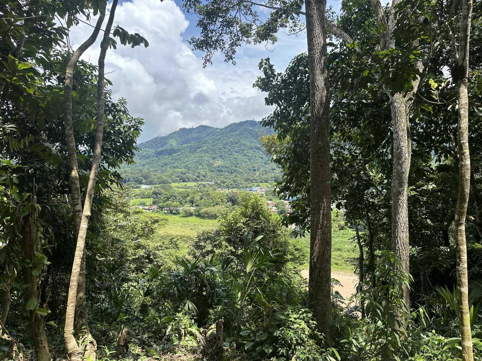 74946-2 Strategic River View 17+ Acre Building Lot in Palmar Costa Rica