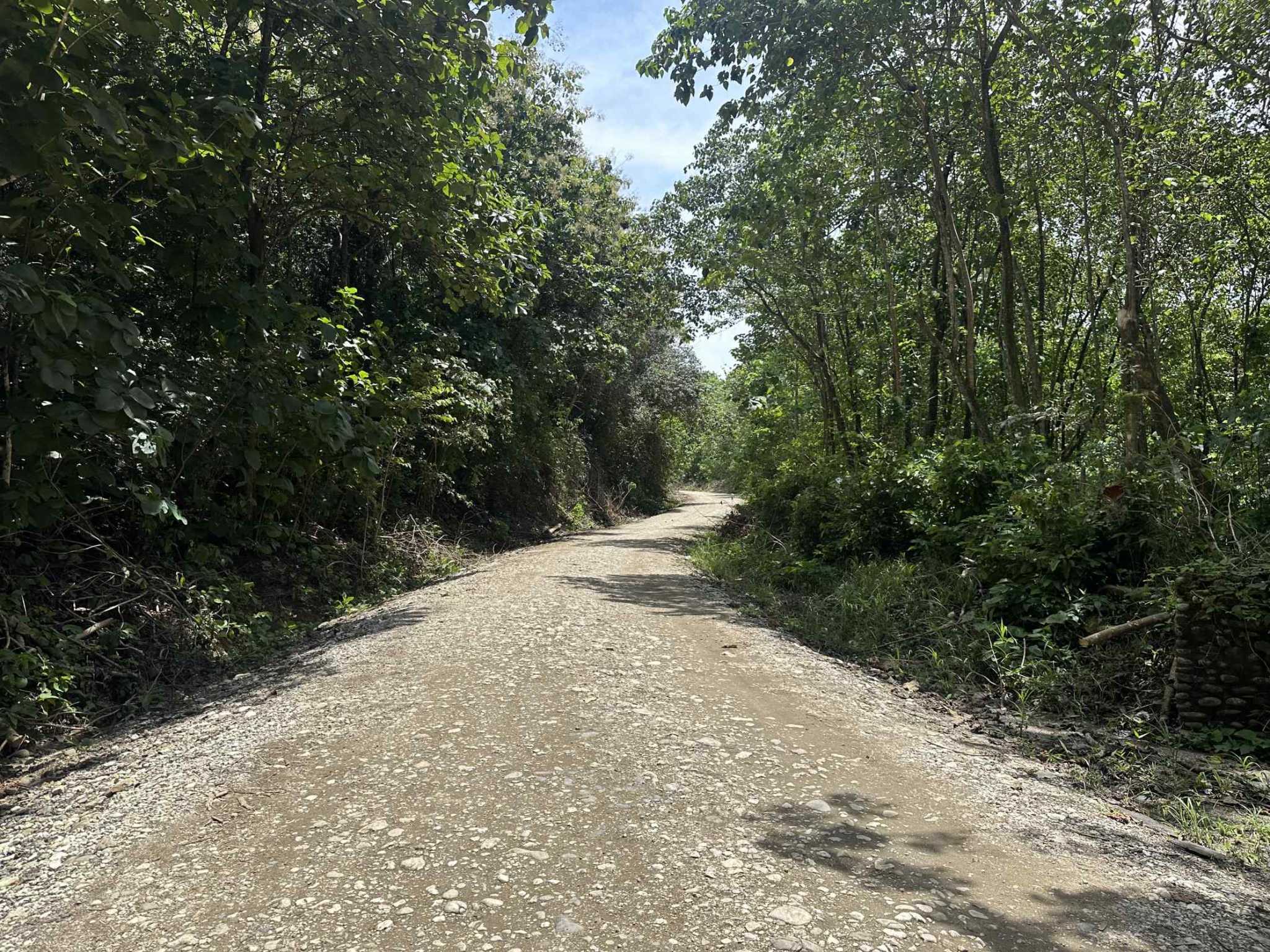74946-3 Strategic River View 17+ Acre Building Lot in Palmar Costa Rica