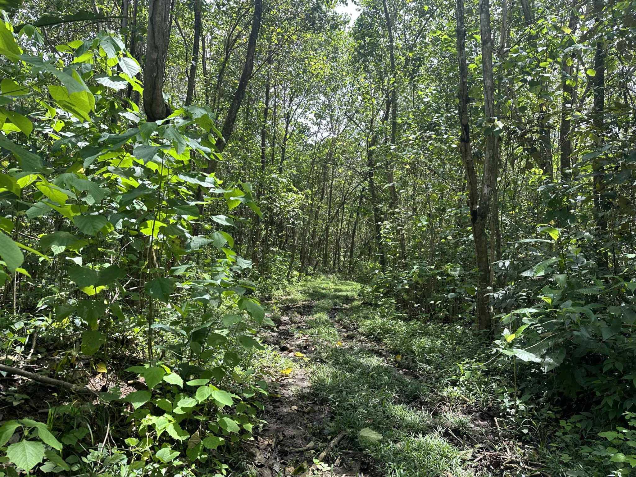 74946-4 Strategic River View 17+ Acre Building Lot in Palmar Costa Rica