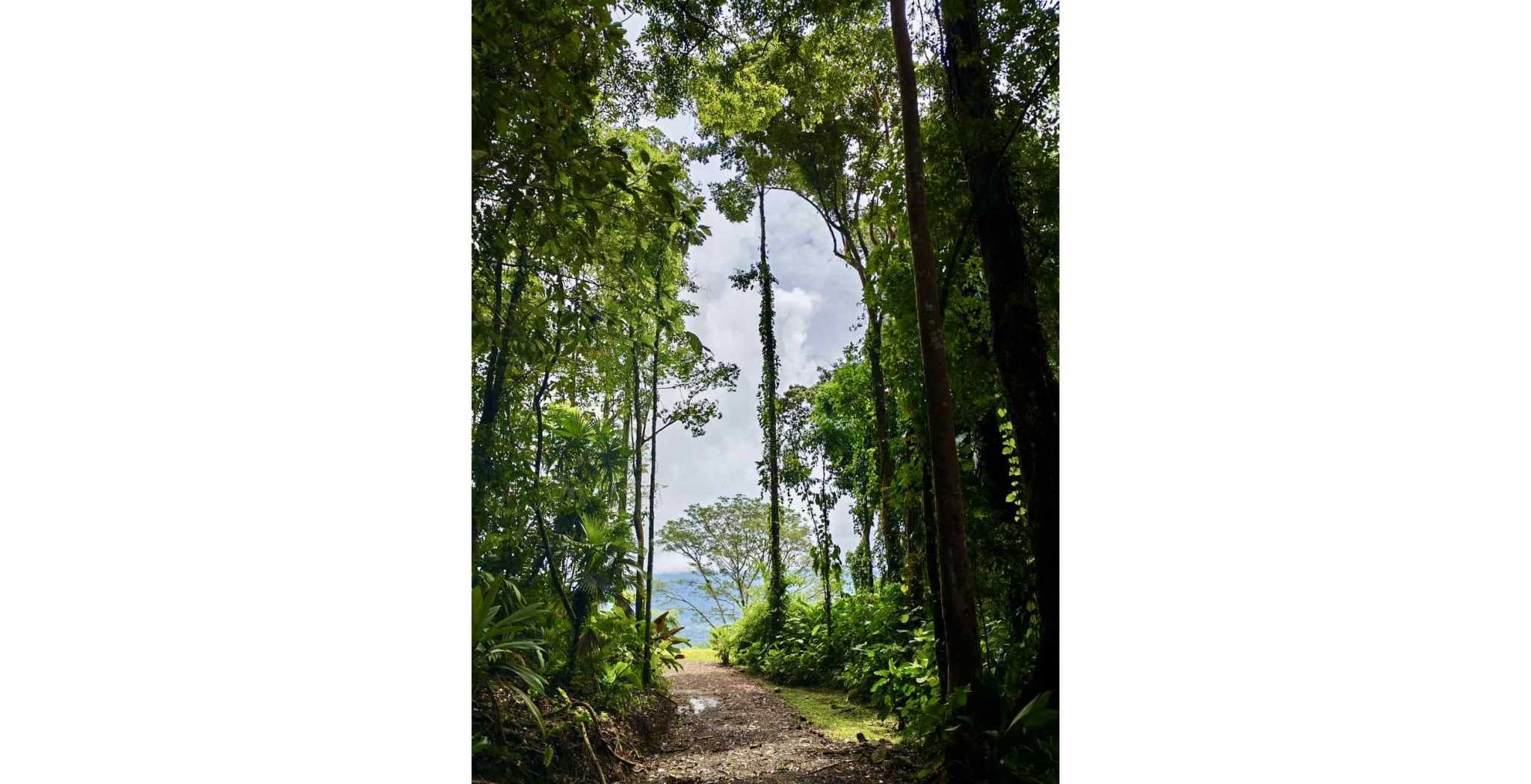 Spectacular Ocean View 24+ Acre Building Lot with Legal Water in Dominical Costa Rica