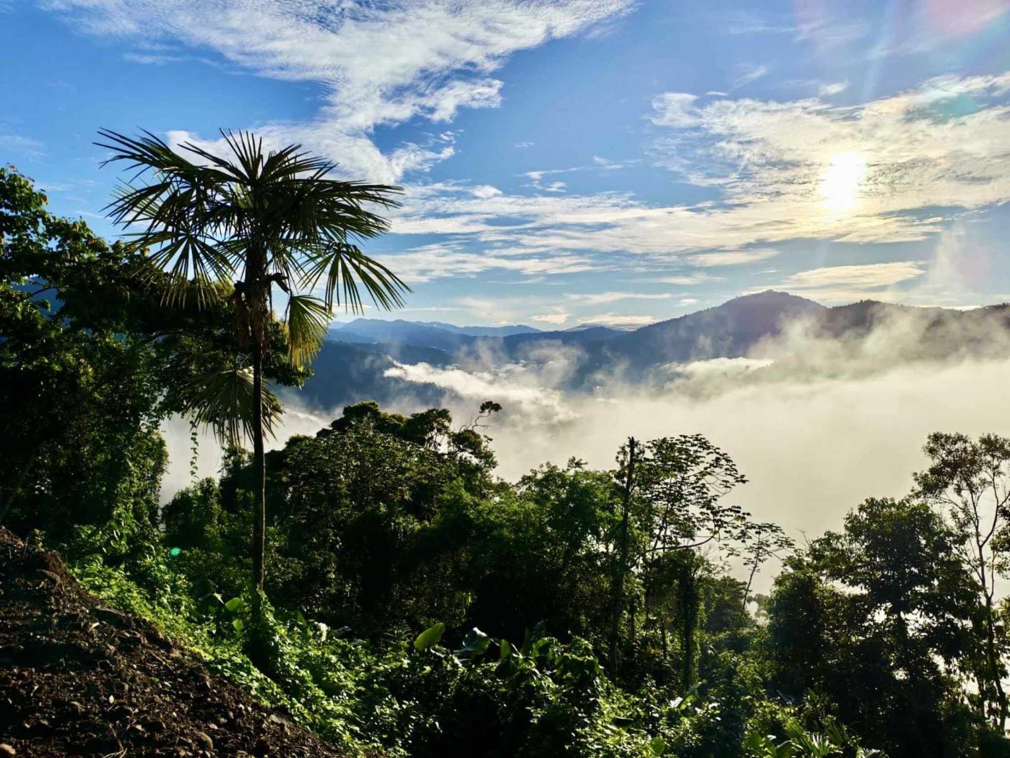 Spectacular Ocean View 24+ Acre Building Lot with Legal Water in Dominical Costa Rica