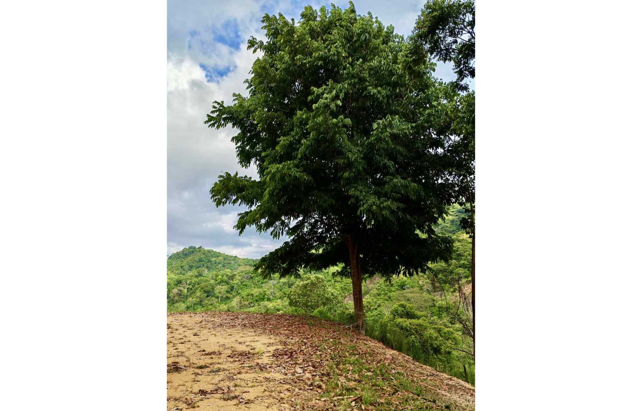 Spectacular Ocean View 24+ Acre Building Lot with Legal Water in Dominical Costa Rica