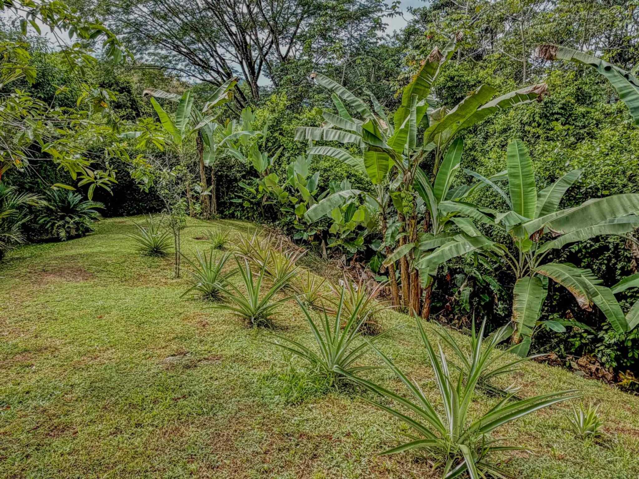76480-38 Charming 2-Bedroom Jungle Retreat with Saltwater Pool & Mountain Views in Lagunas Costa Rica