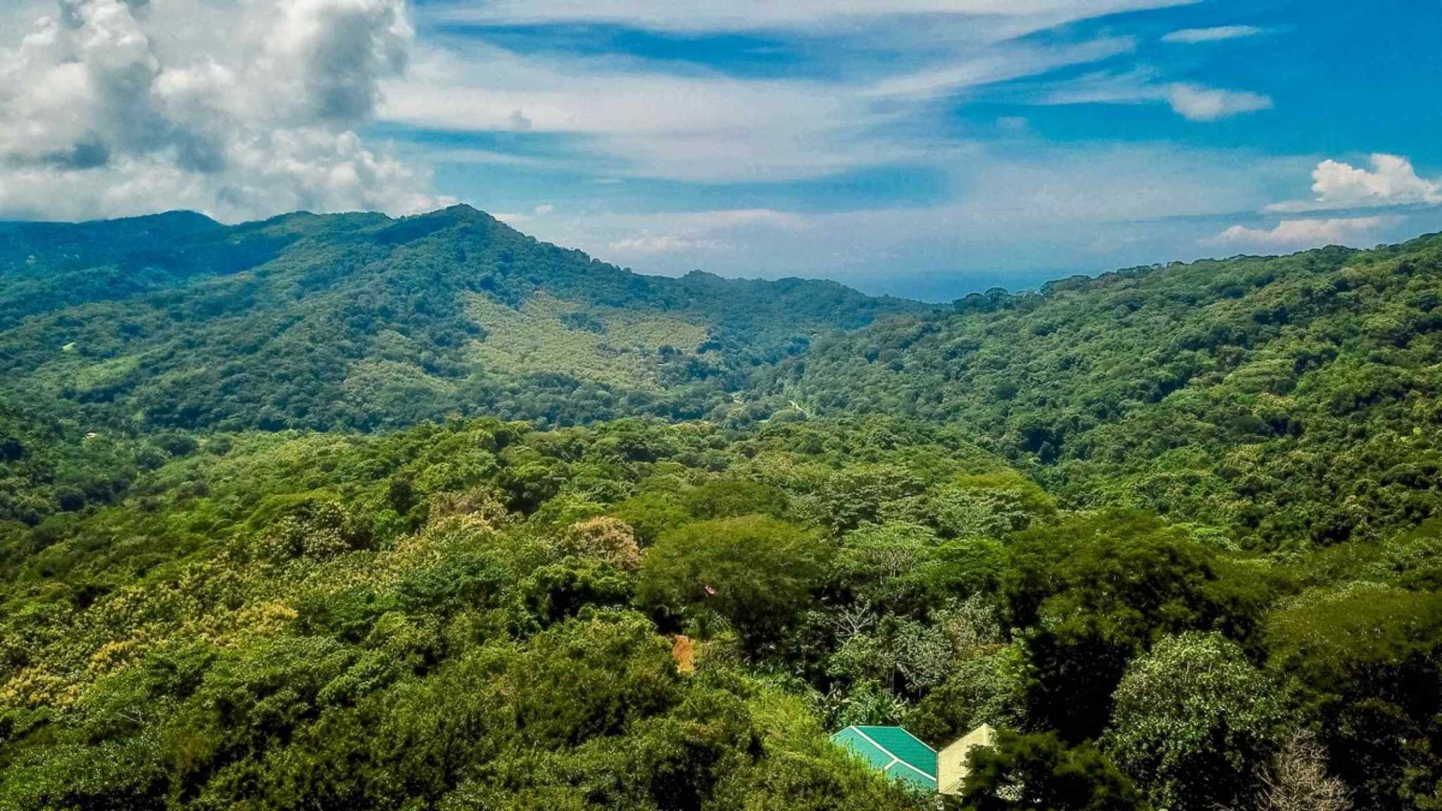 76480-40 Charming 2-Bedroom Jungle Retreat with Saltwater Pool & Mountain Views in Lagunas Costa Rica