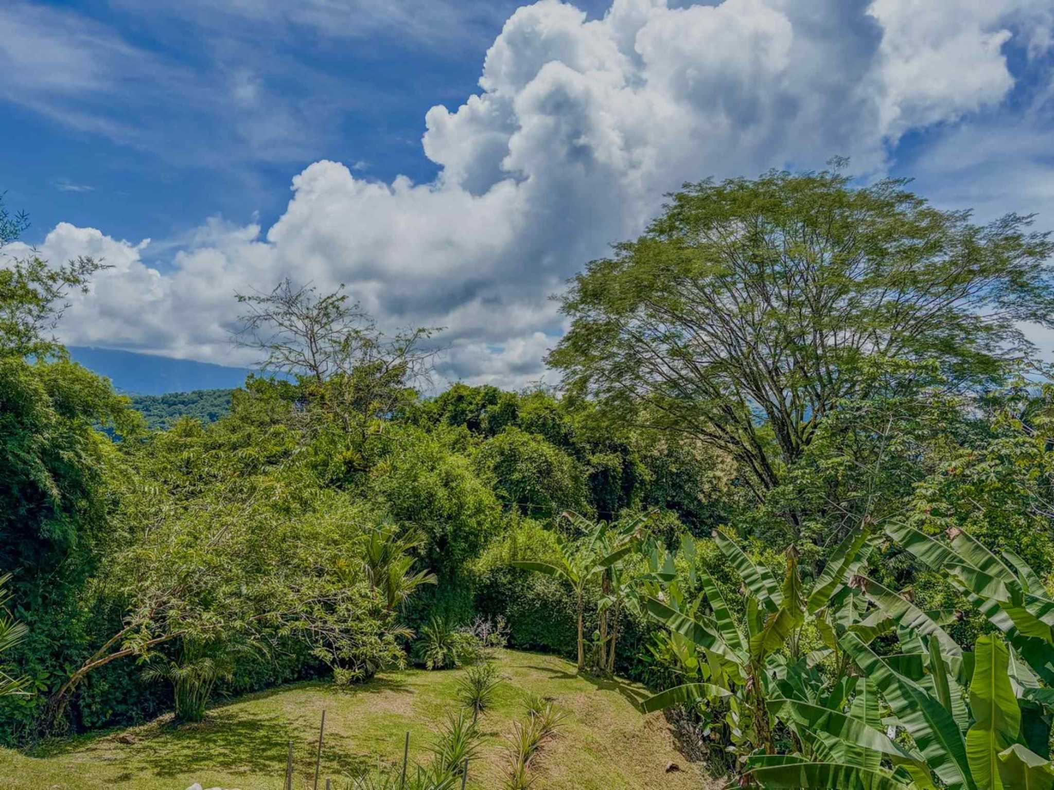 76480-49 Charming 2-Bedroom Jungle Retreat with Saltwater Pool & Mountain Views in Lagunas Costa Rica