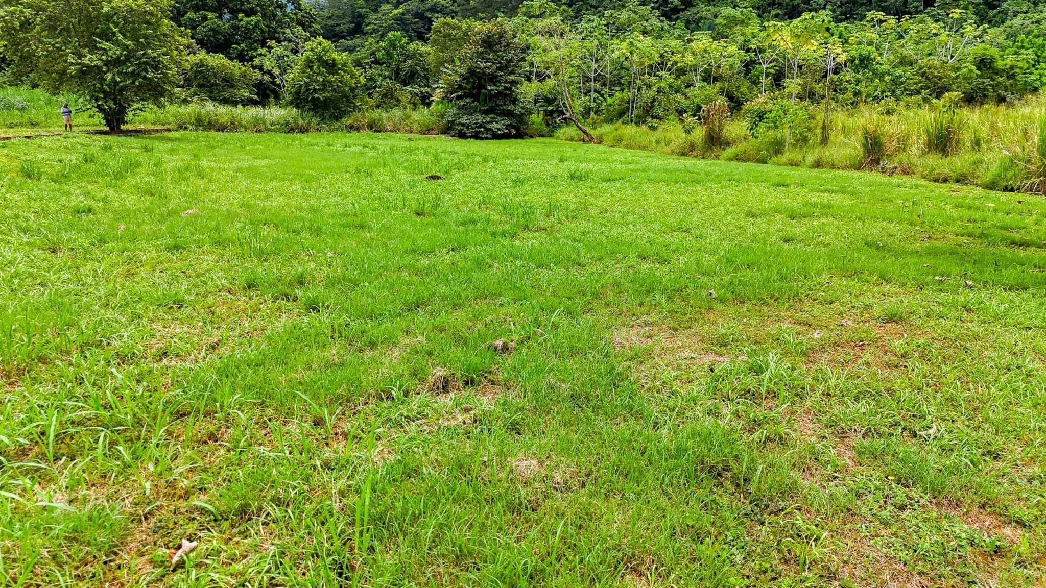 76673-6 Prime Highway-Frontage Mountain View Over-Half-Acre Building Lot with Legal Water in Coronado Costa Rica