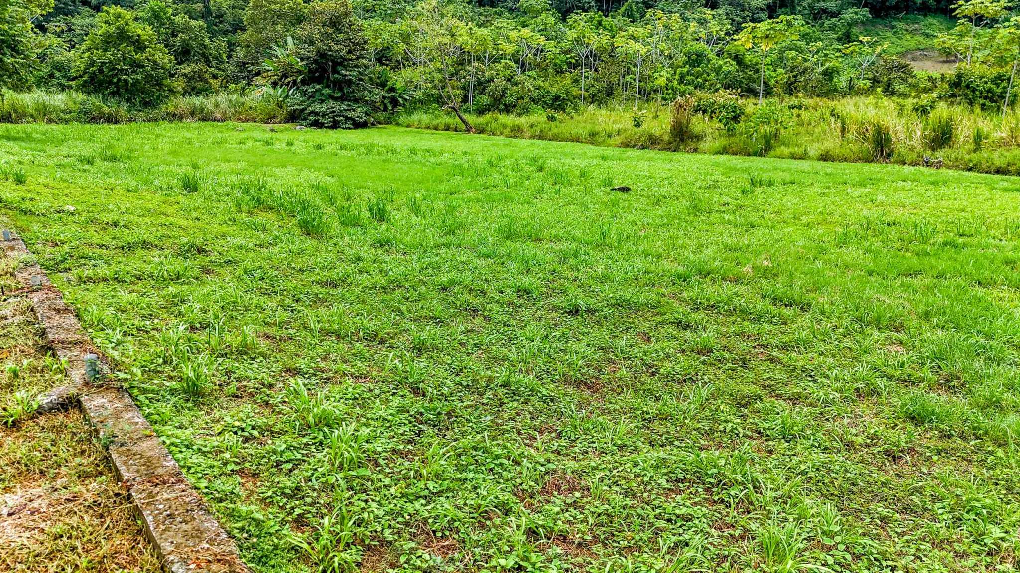 76673-8 Prime Highway-Frontage Mountain View Over-Half-Acre Building Lot with Legal Water in Coronado Costa Rica