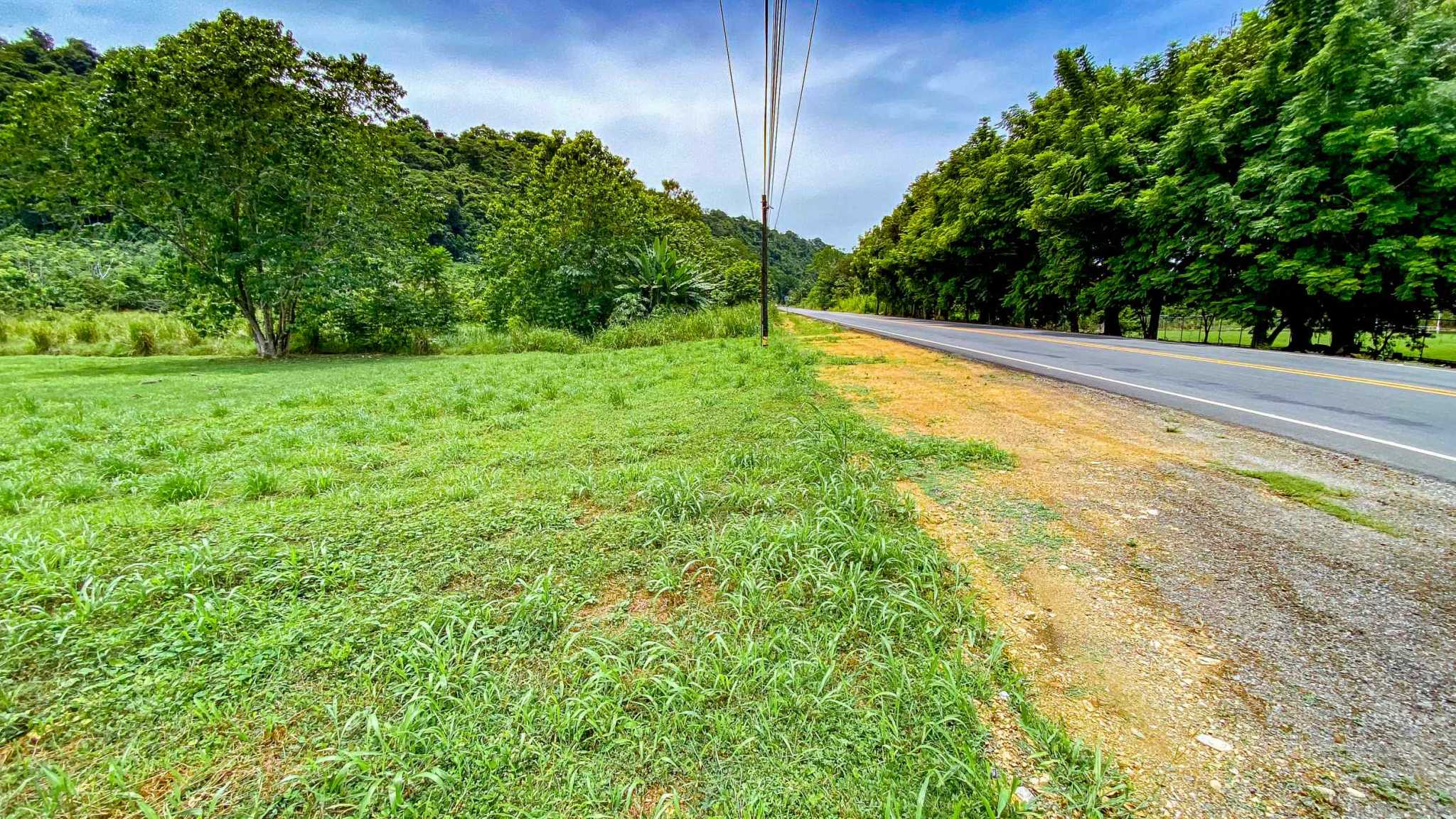 76673-9 Prime Highway-Frontage Mountain View Over-Half-Acre Building Lot with Legal Water in Coronado Costa Rica