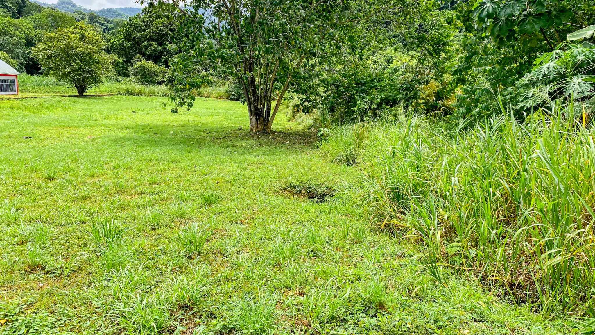 76673-11 Prime Highway-Frontage Mountain View Over-Half-Acre Building Lot with Legal Water in Coronado Costa Rica