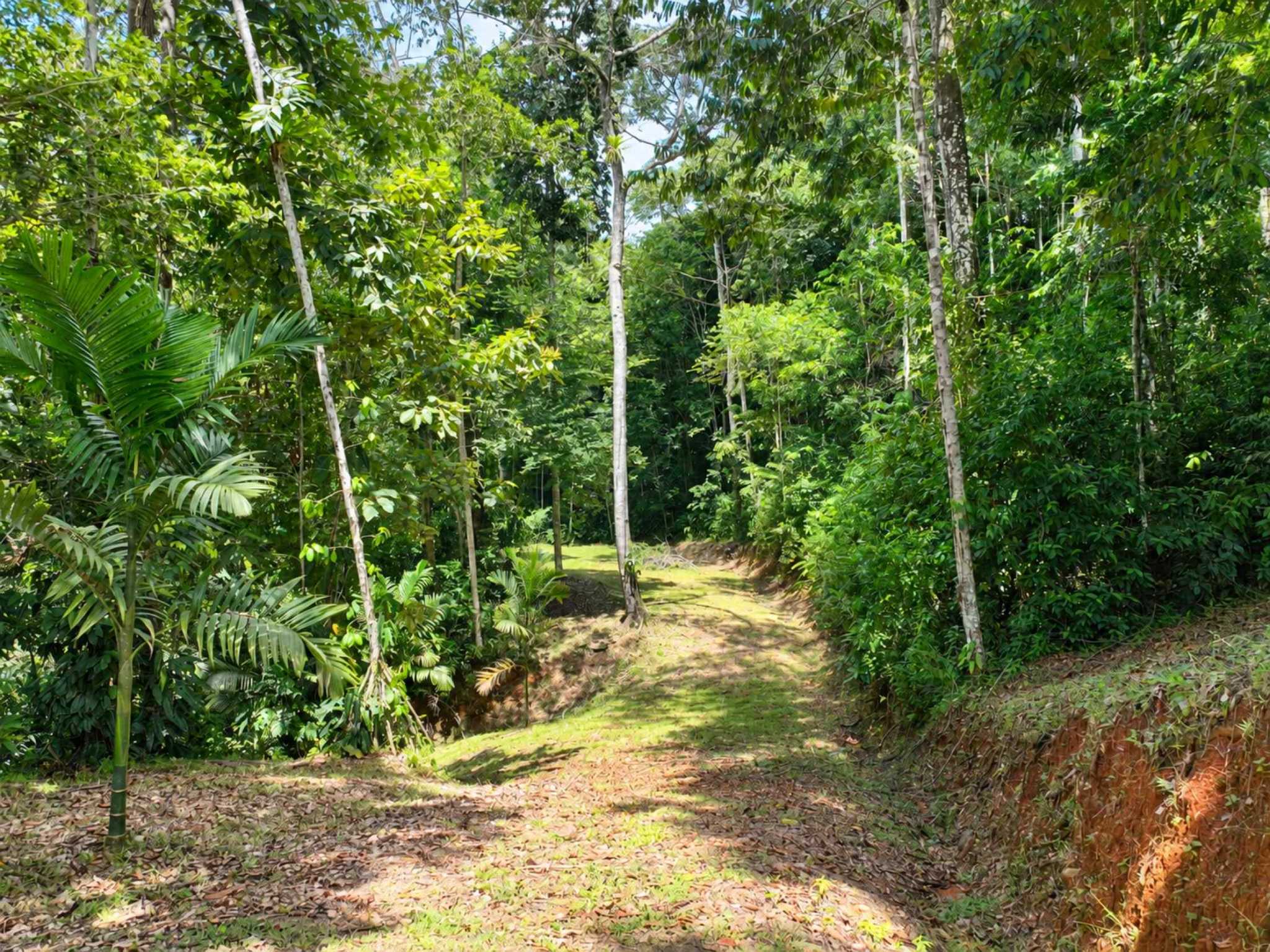 76705-3 Private Mountain & Valley View Building Lot with Legal Water in Dominical Costa Rica
