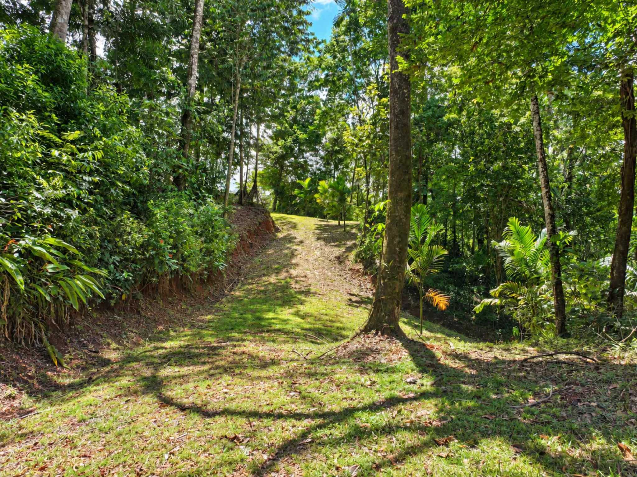76705-5 Private Mountain & Valley View Building Lot with Legal Water in Dominical Costa Rica