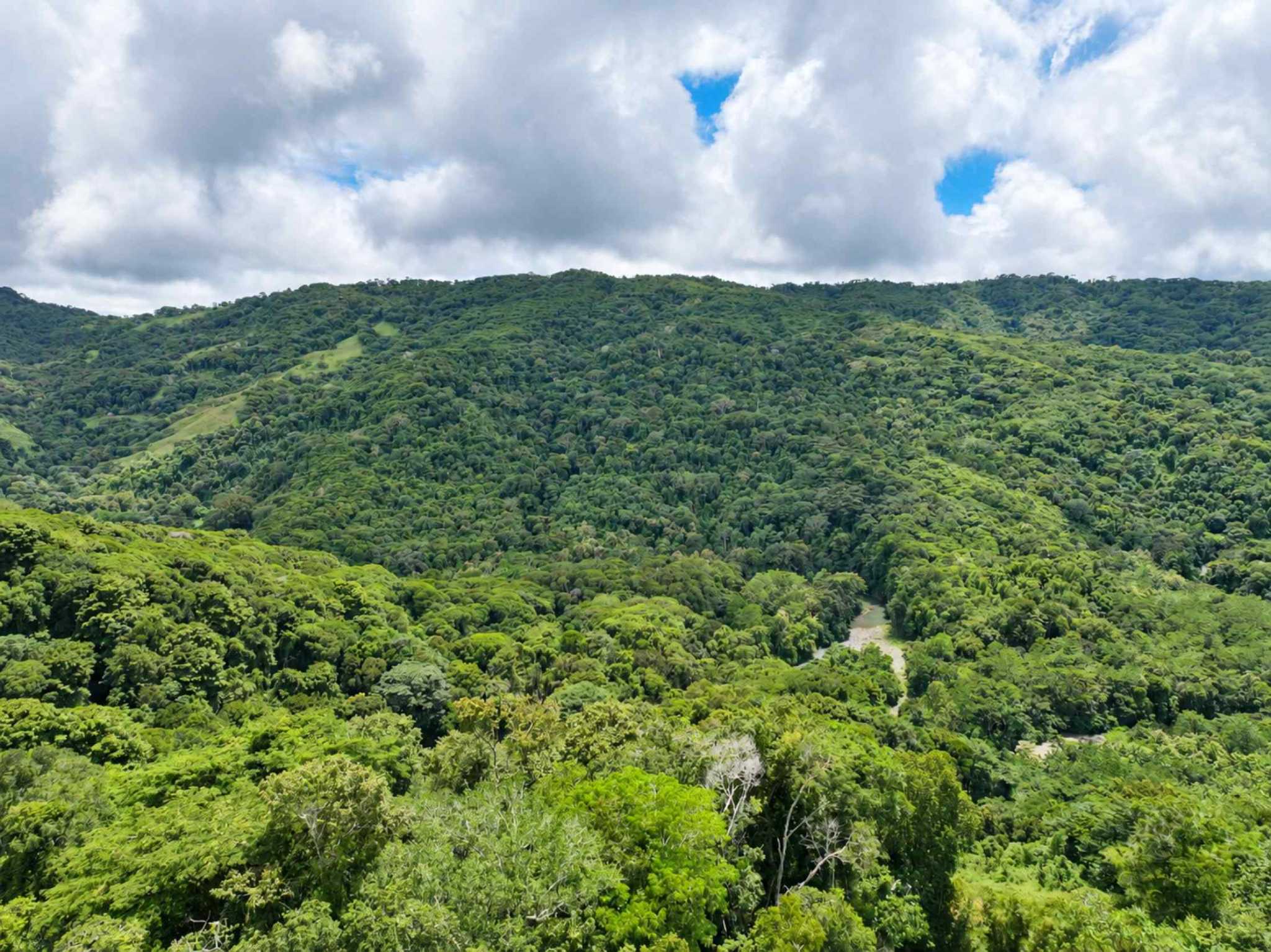 76705-6 Private Mountain & Valley View Building Lot with Legal Water in Dominical Costa Rica