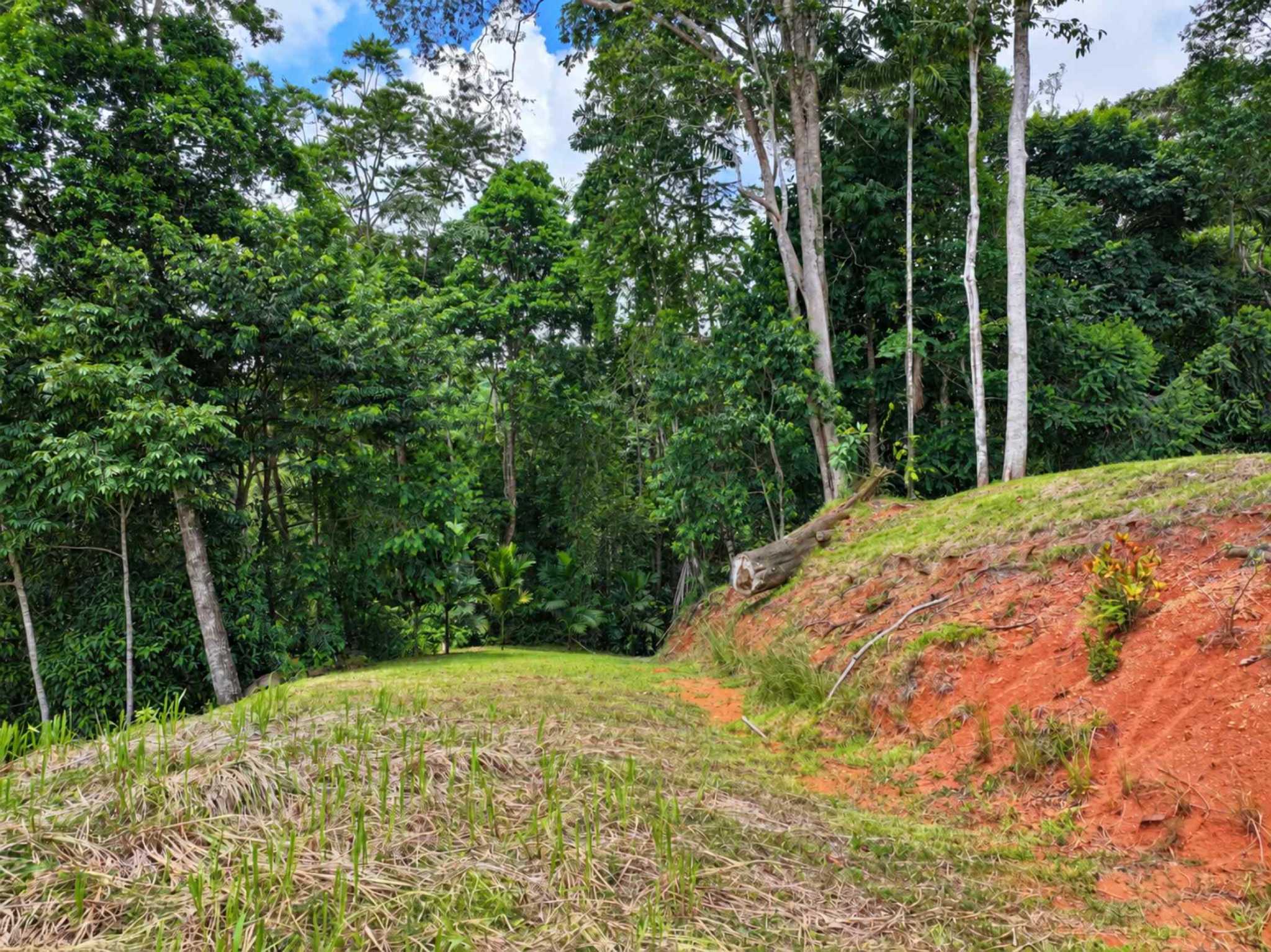 76705-9 Private Mountain & Valley View Building Lot with Legal Water in Dominical Costa Rica